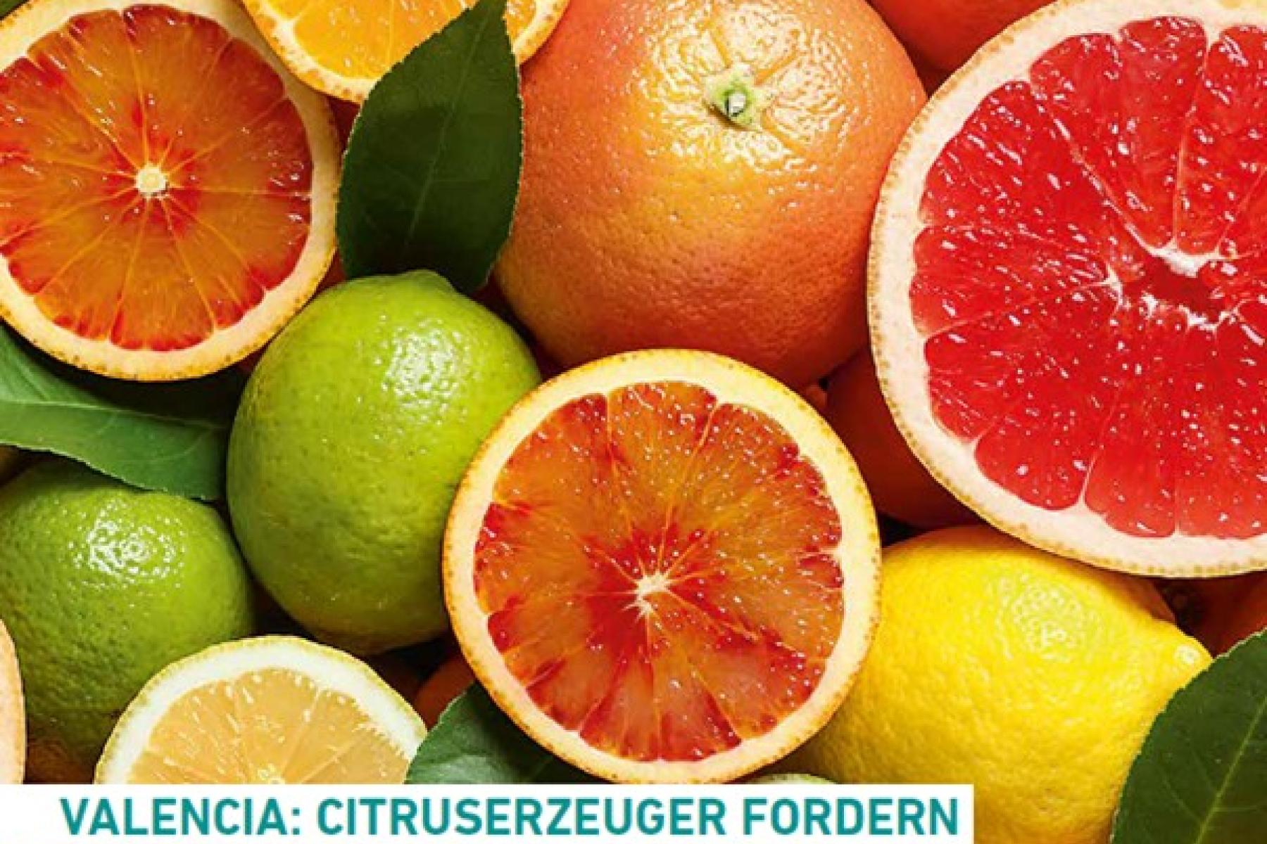 Titel Fruchthandel Magazin Ausgabe 44-45/2025