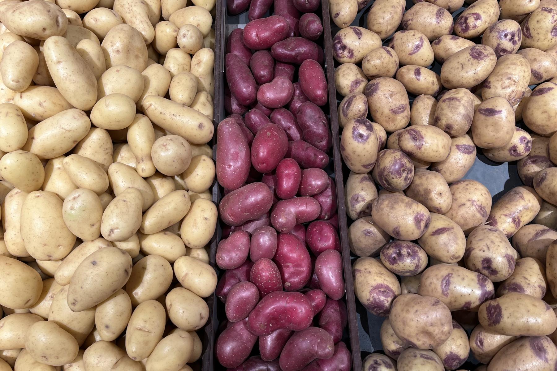 Kartoffeln aus Frankreich