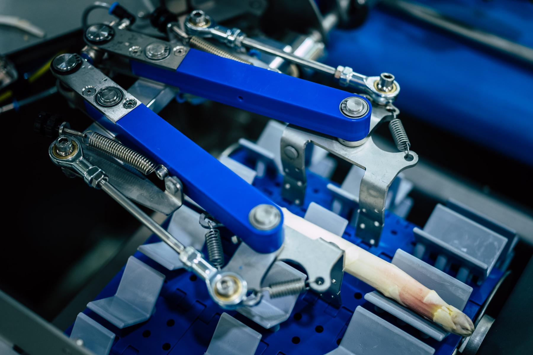 neue Spargelschälmaschine