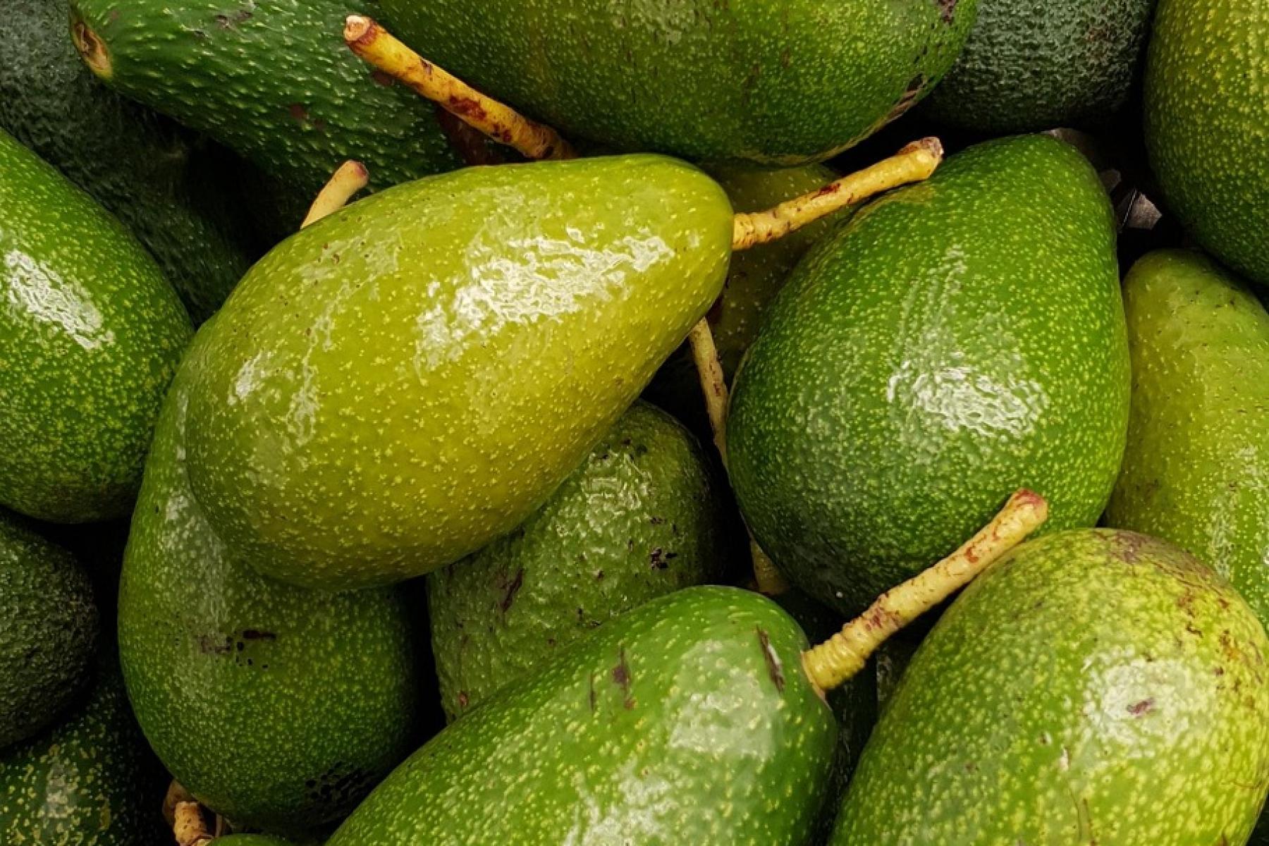 Avocados