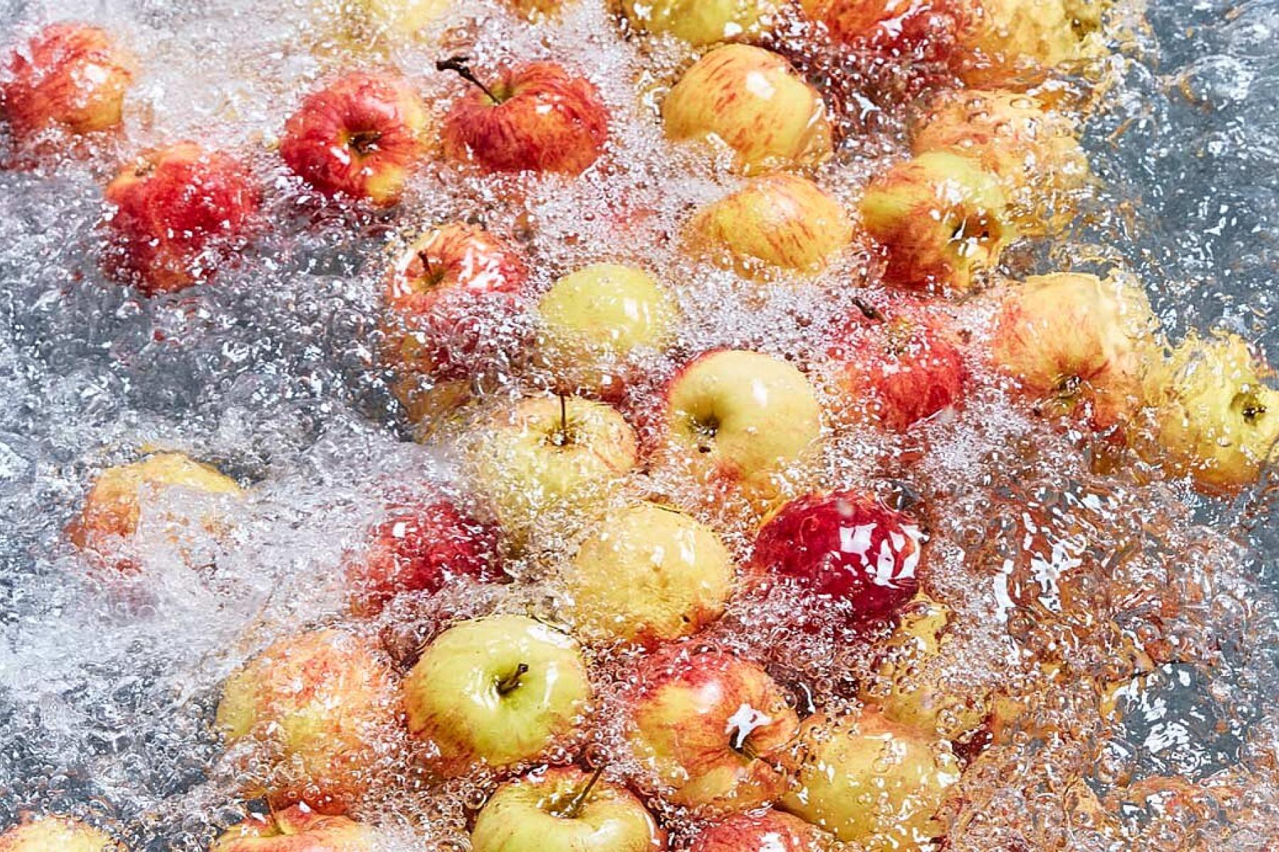 Peressigsäure-Desinfektion – sichere und nachhaltige Hygienisierung beim industriellen Waschen von frischen Produkten