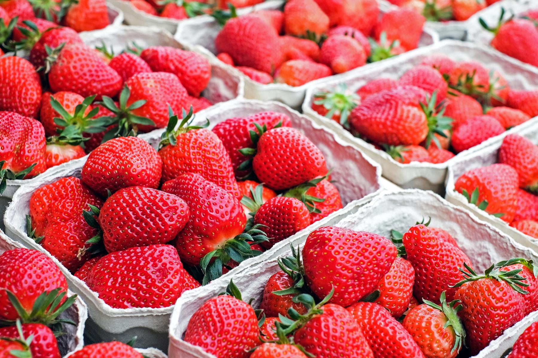 Mehrere Pappschalen mit frischen, roten Erdbeeren mit grünen Kelchblättern.