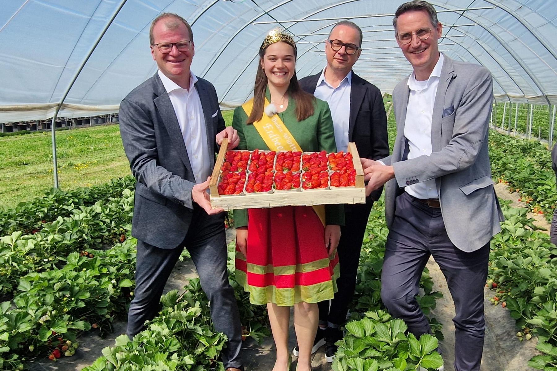 Vier Personen in einem Gewächshaus halten gemeinsam eine Holzkiste mit frischen Erdbeeren, die Frau trägt ein grünes Kleid mit rotem Rock und eine gelbe Schärpe.