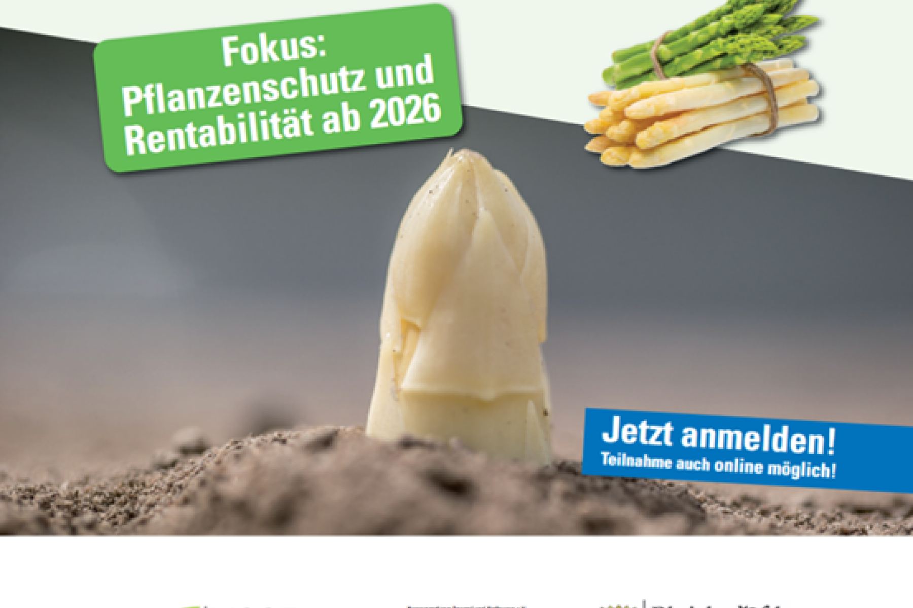 Infoblatt Pfälzer Spargeltag 2026