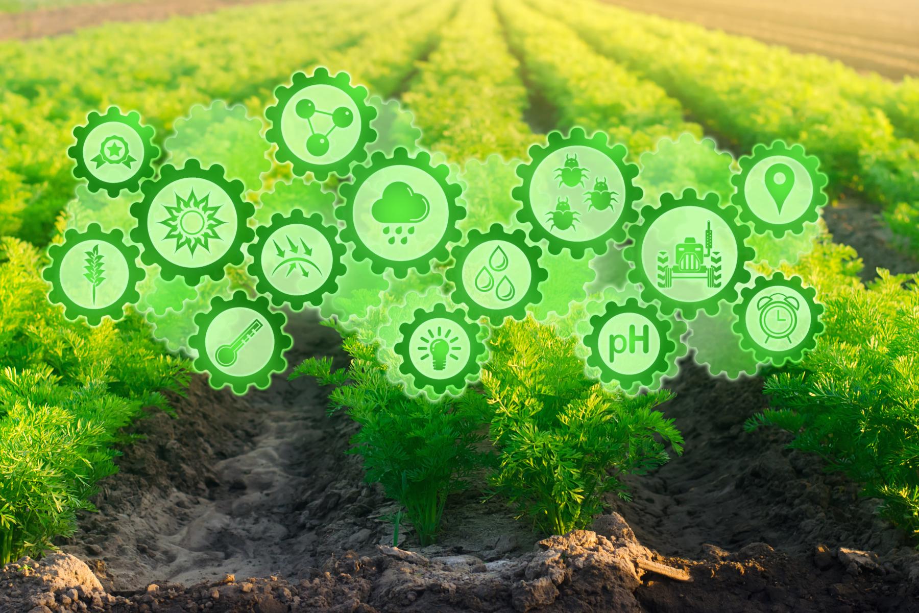 Grünes Feld mit Reihen von Pflanzen, darüber schwebende grüne Icons mit Symbolen für Pflanzenschutz und Umweltfaktoren.