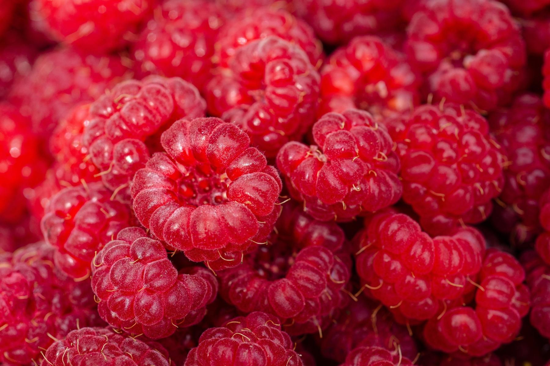 Himbeeren