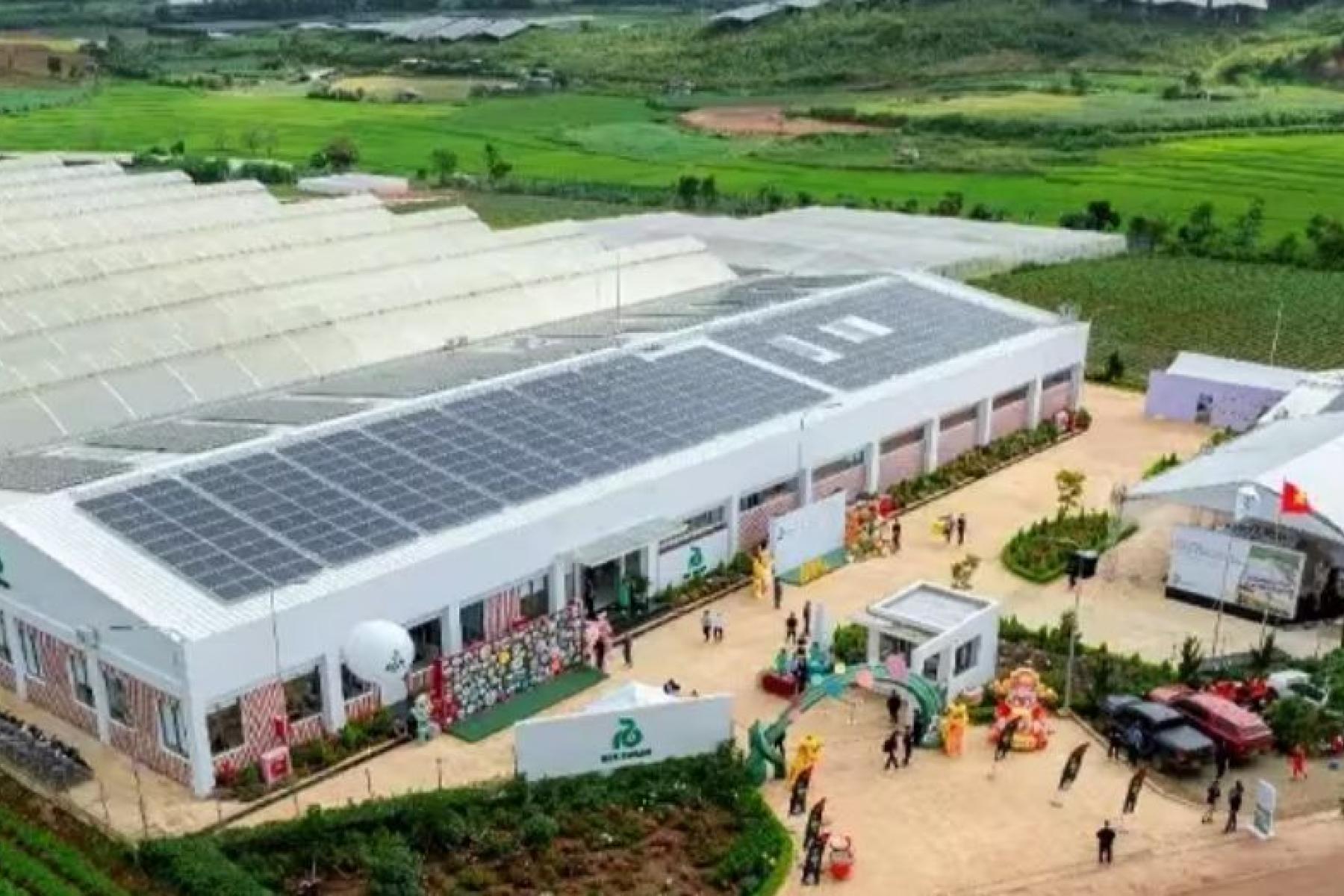 Der neueste Standort von Rijk Zwaan in Lam Long, Vietnams wichtigster Gartenbauregion. 