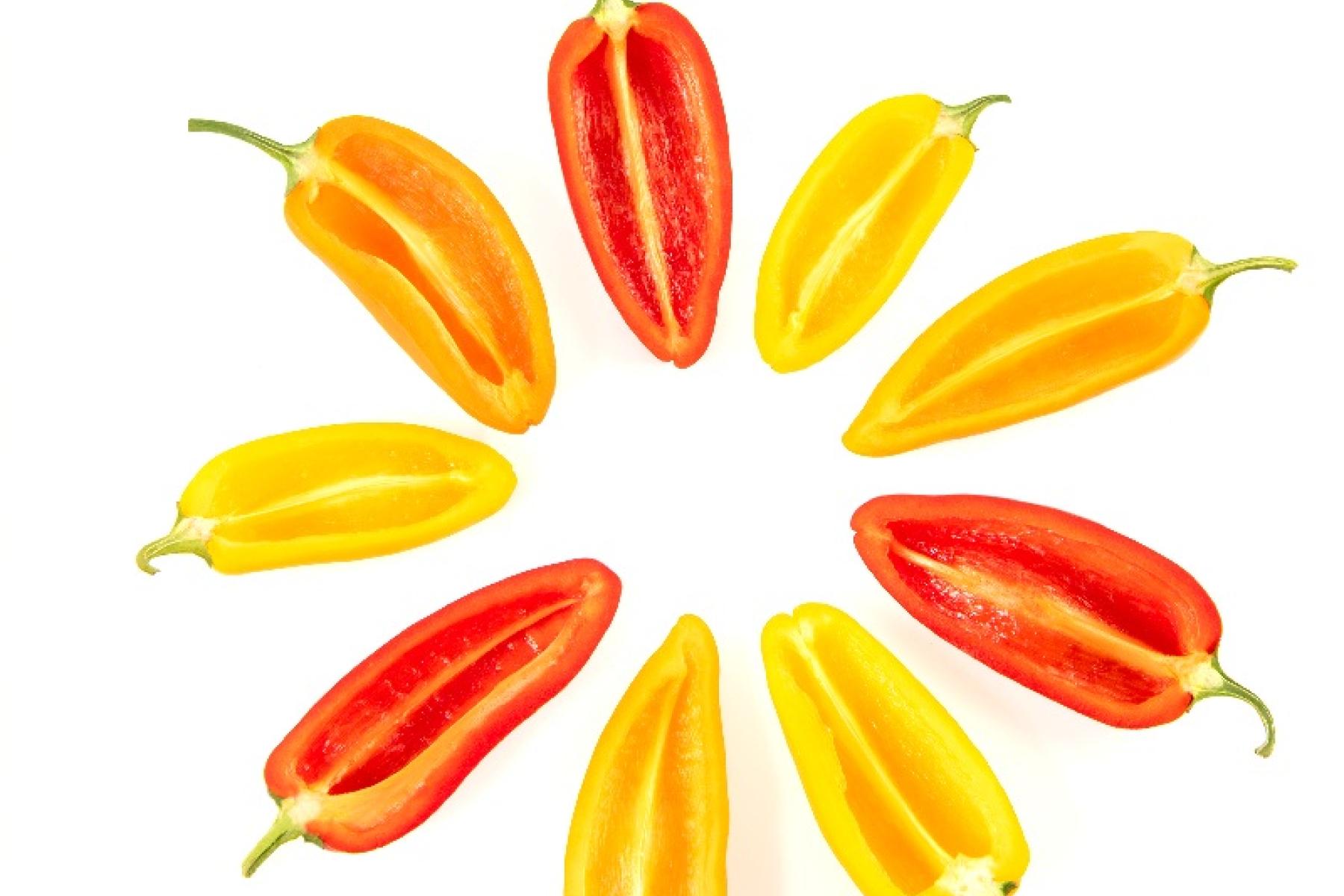 Minipaprika Tribelli