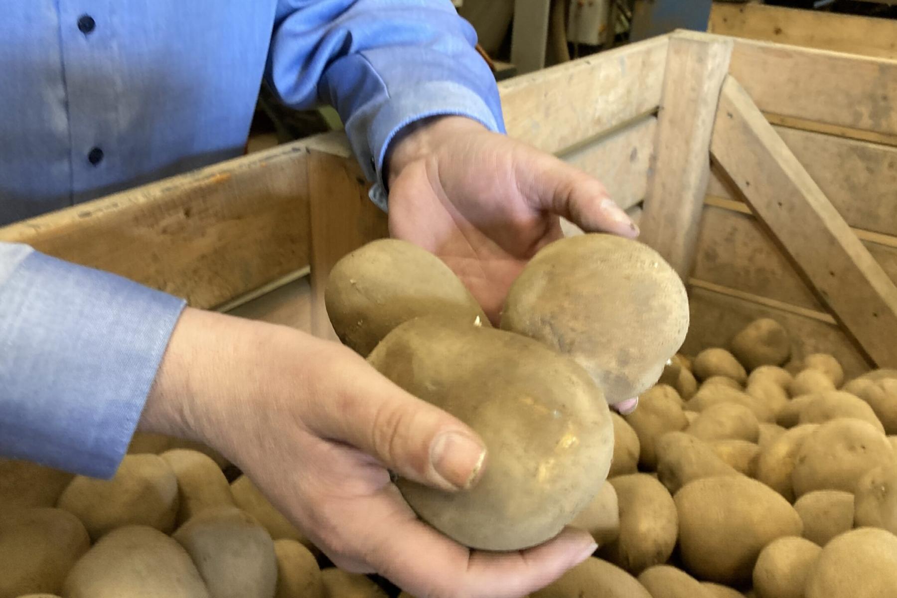 Landvolk fordert Änderungen in der Marktstruktur, um Marktmacht einzuschränken