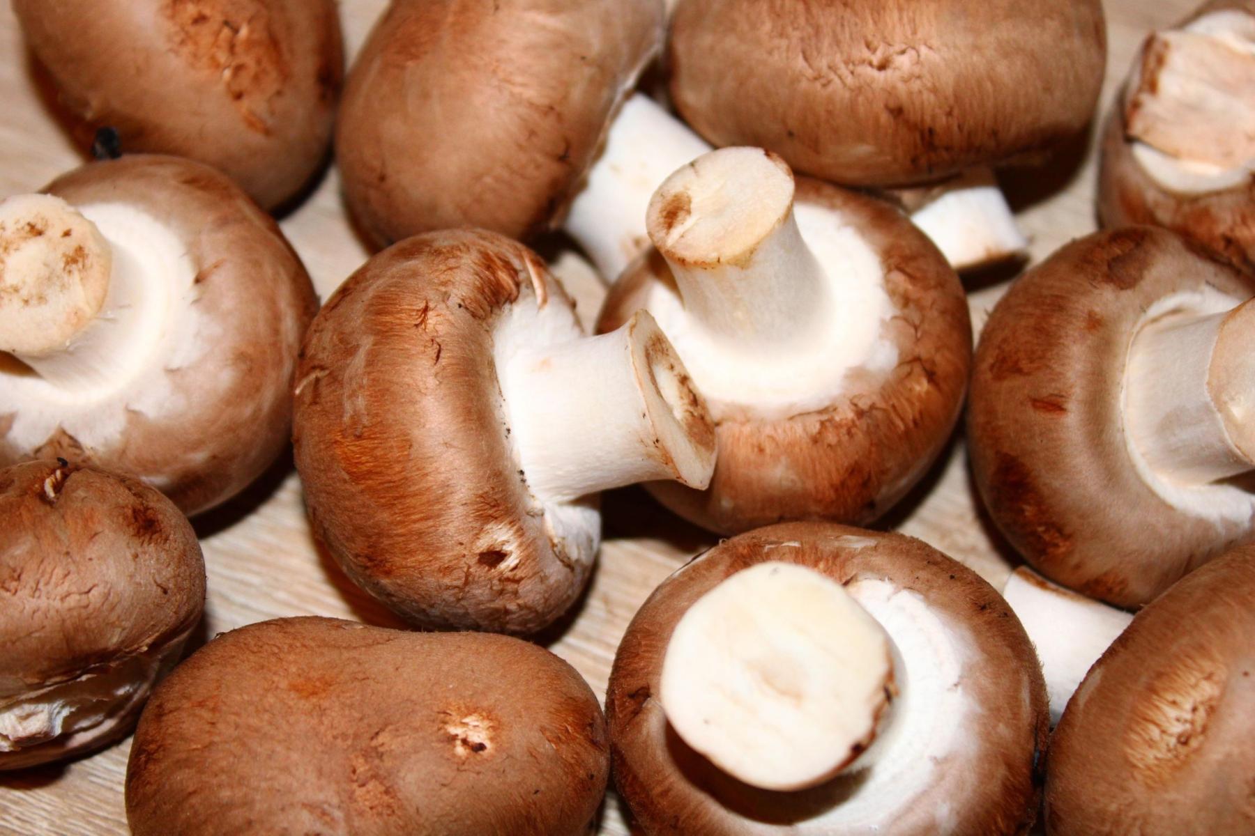 Champignons
