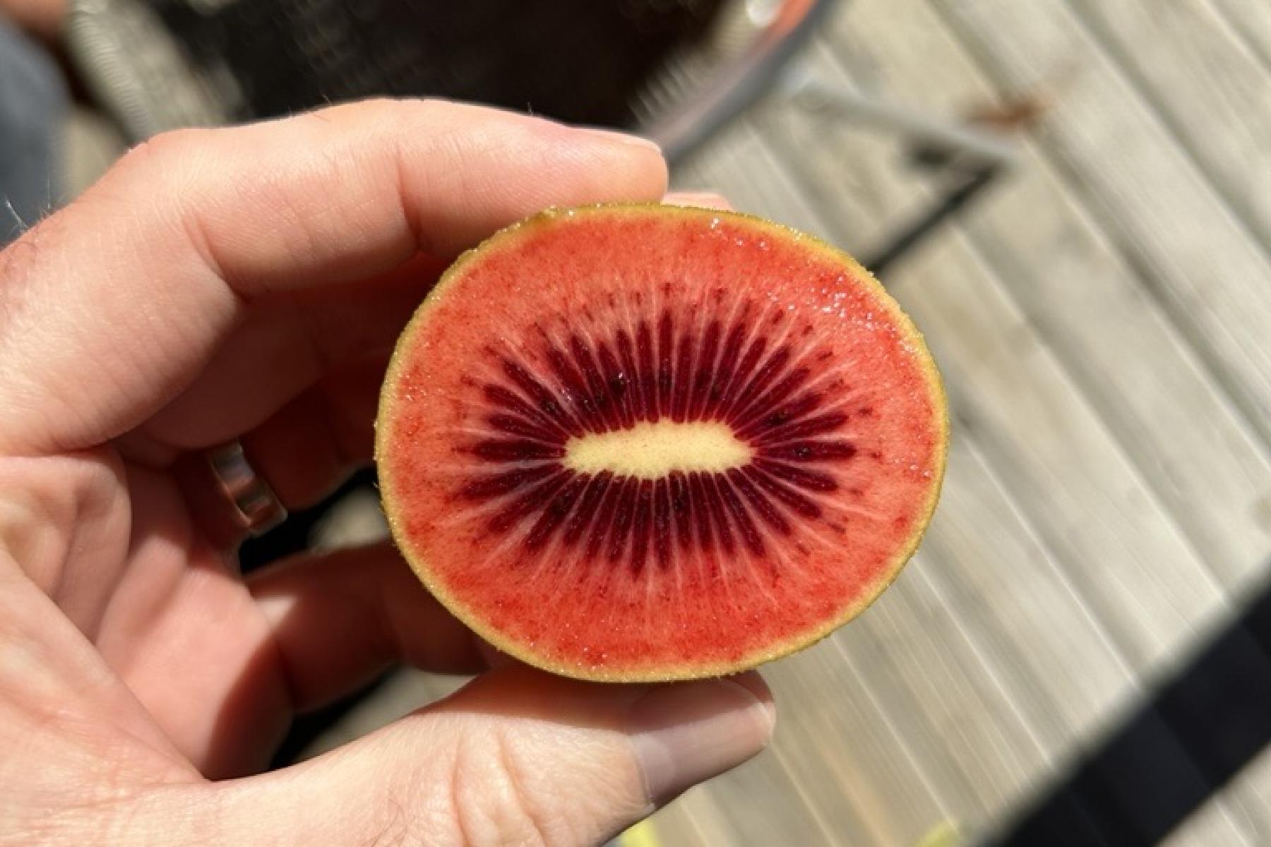 aufgeschnittene rote Kiwi