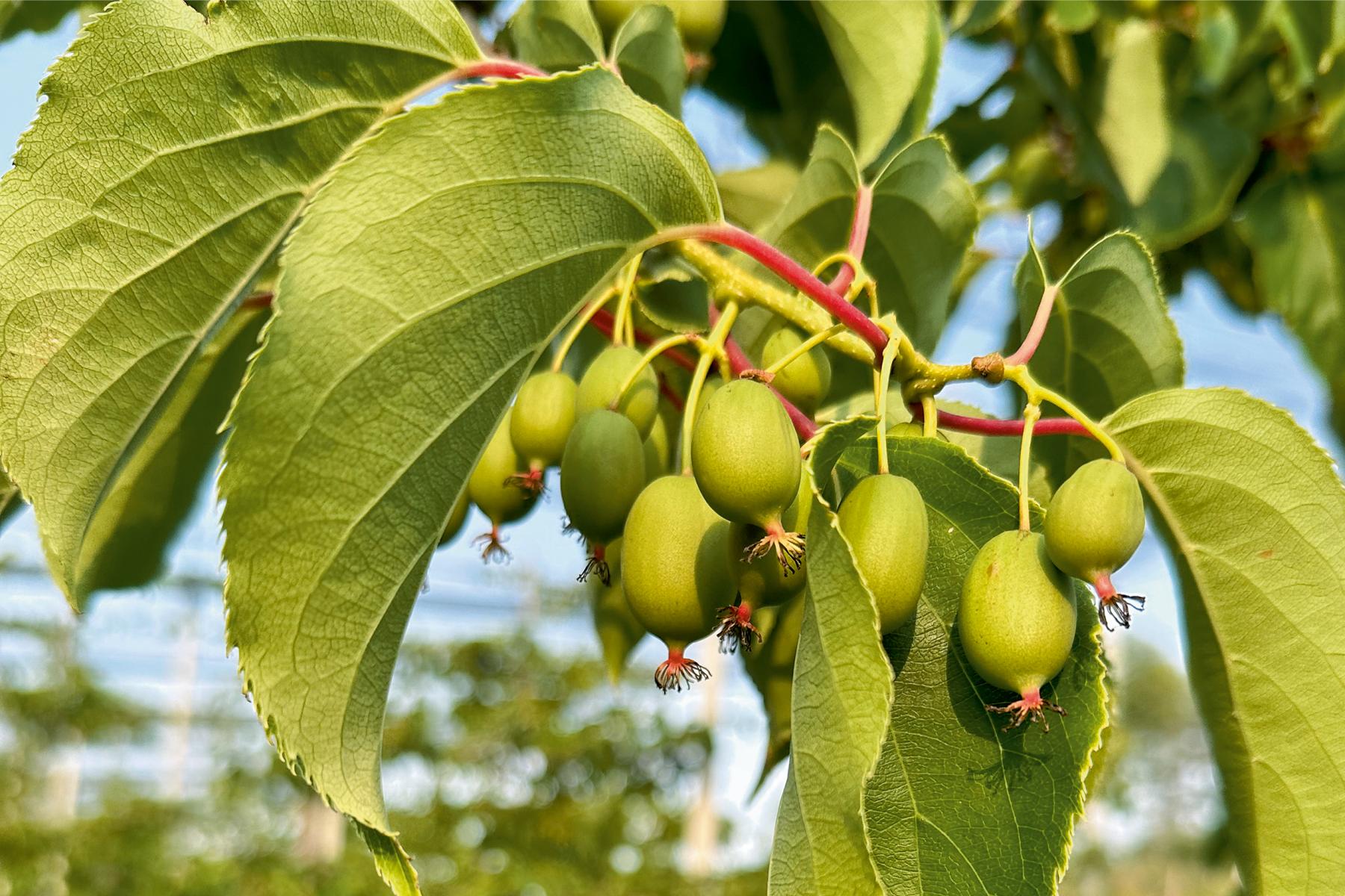 Titel der Ausgabe 48-49/2025