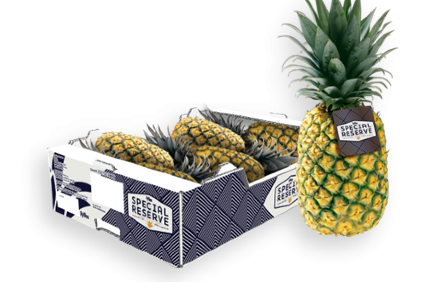 ganze Ananas und im Karton