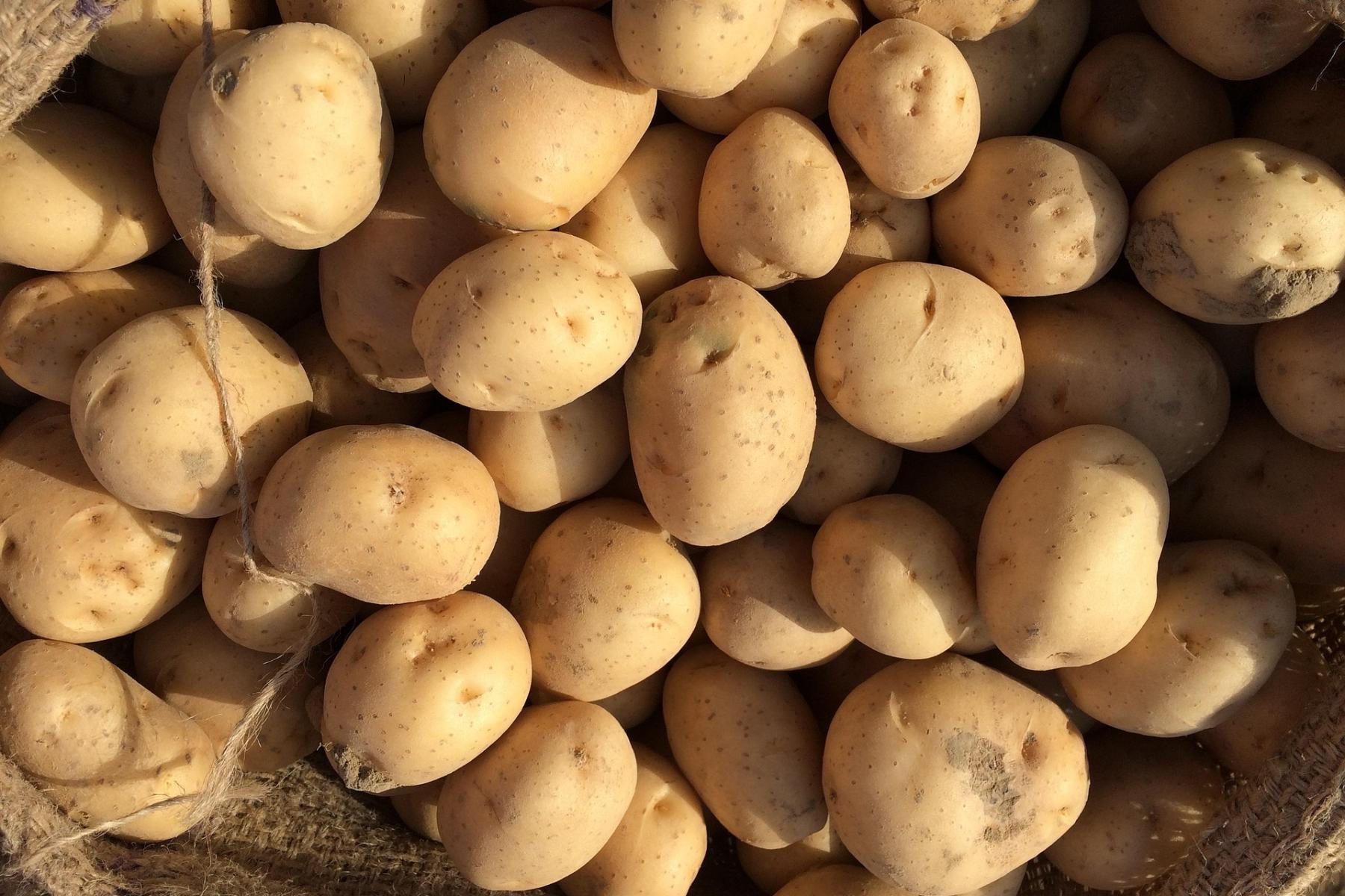 Kartoffeln