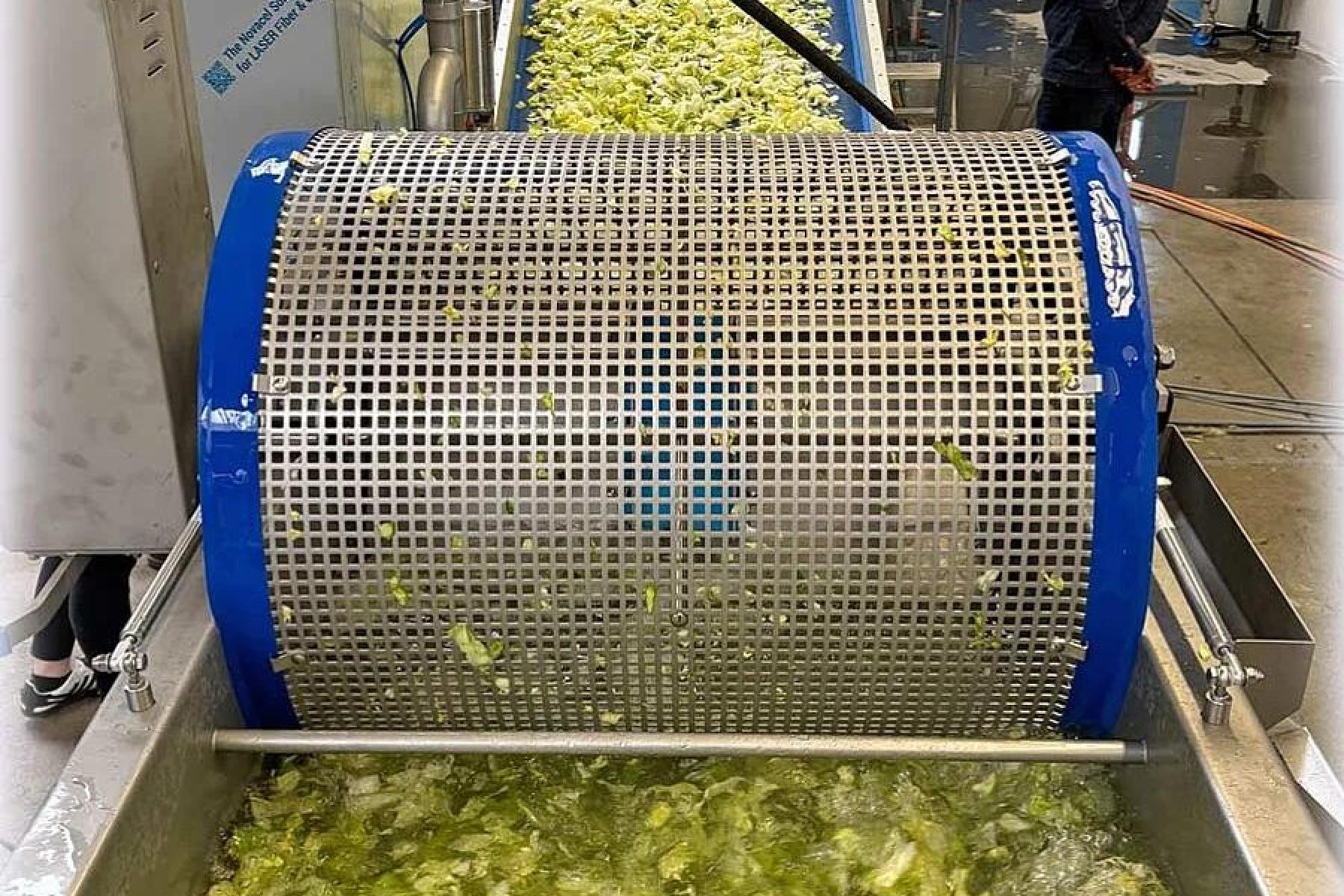 Salatmaschine im Einsatz