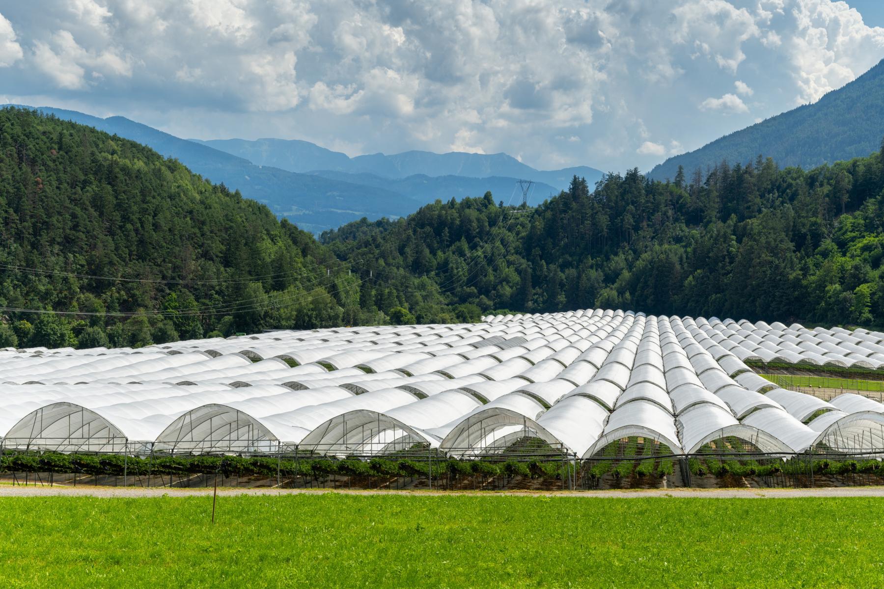 Arrigoni Group - Schutznetze und technische Textilien