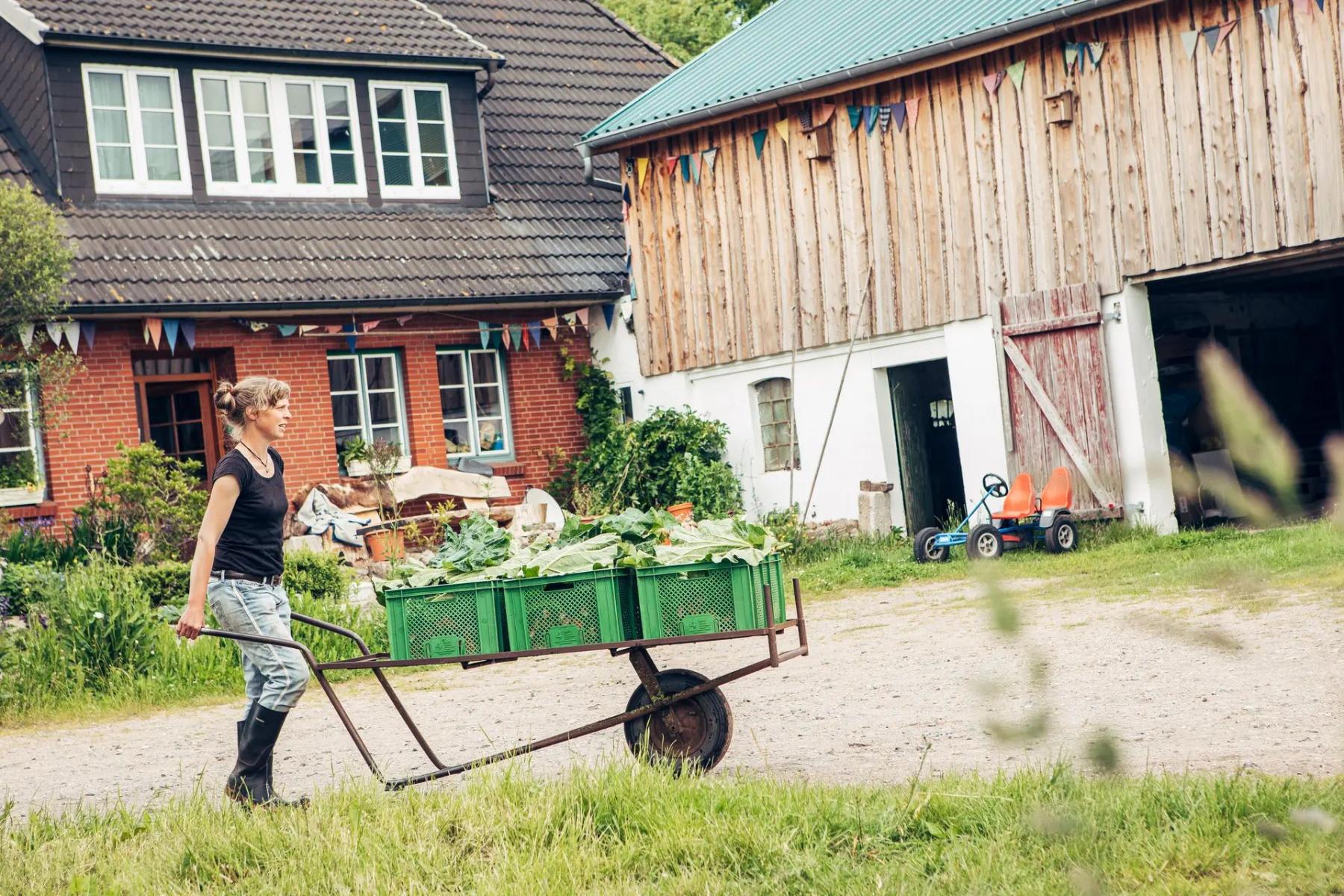 Bäuerin schiebt Schubkarre mit Gemüse