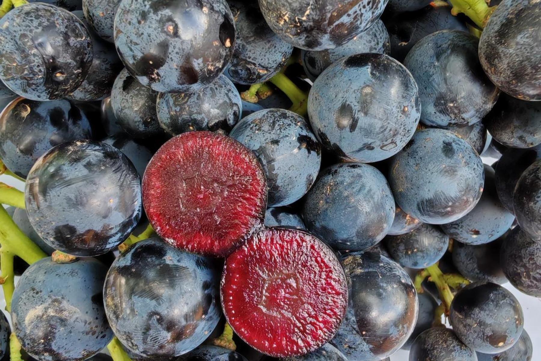 ganze und aufgeschnittene Trauben