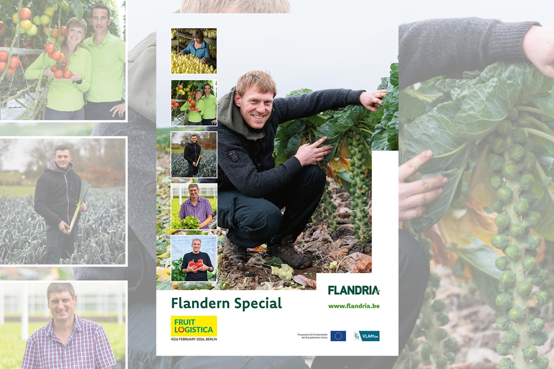 Titel Flandern Special 