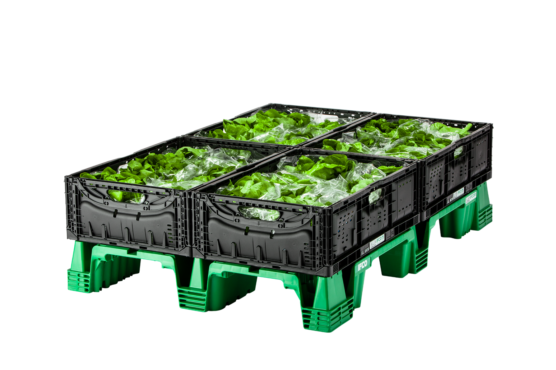 Nestor Pallette mit Salat