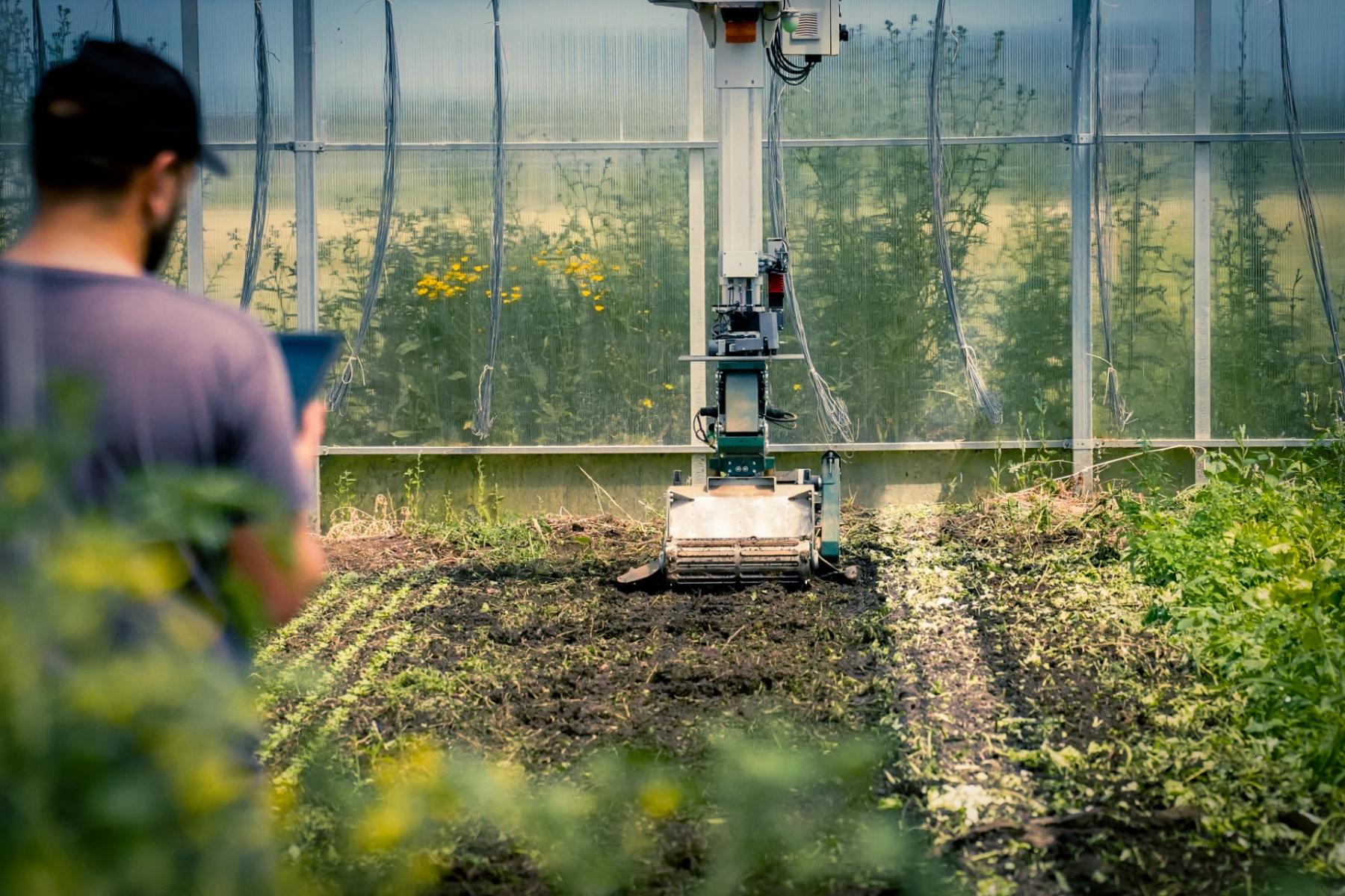 Les Fermes Debout verbinden Bio-Anbau mit Hi-Tech