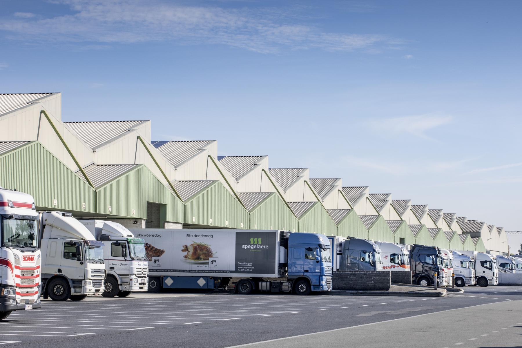 Lkw bei der REO Veiling