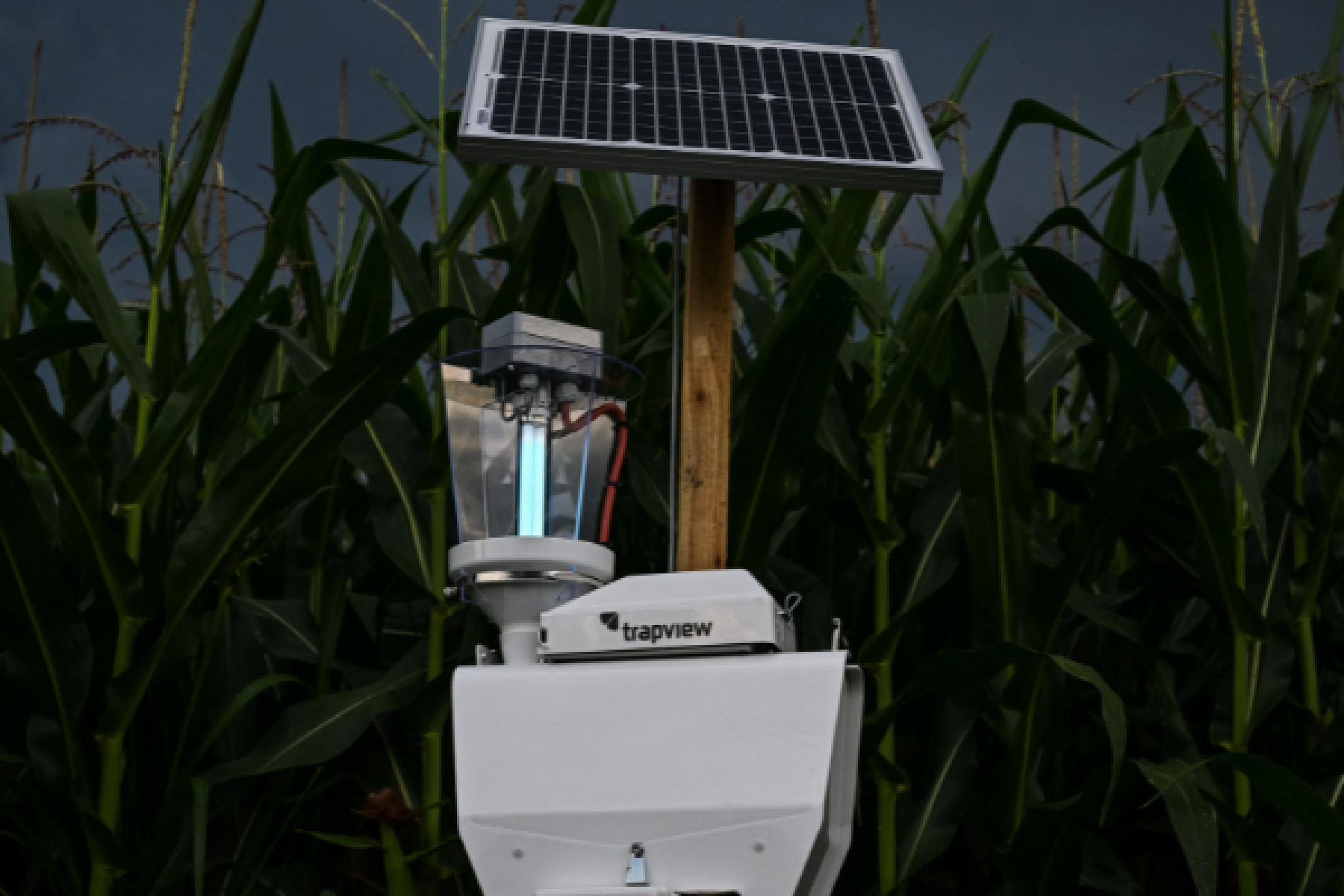 Die Schädlingsüberwachung AURA