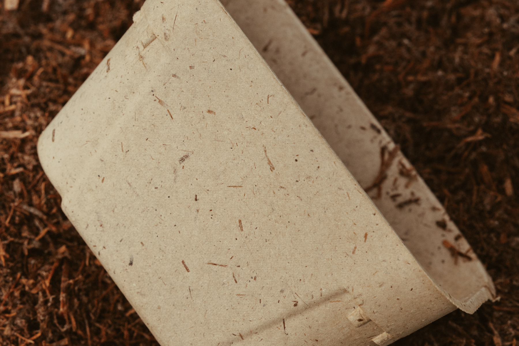 Verpackung aus Pilzresten