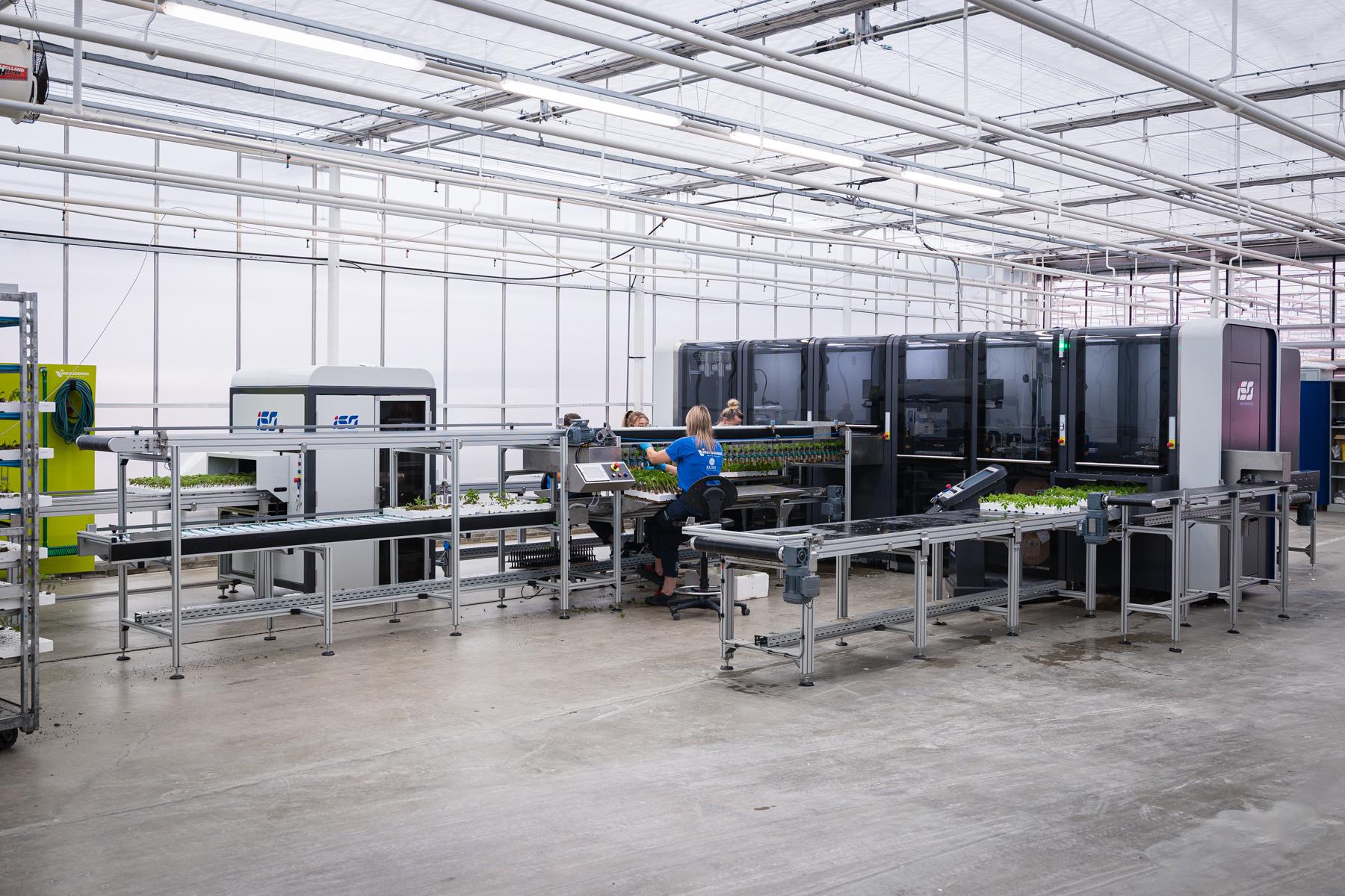 Ansicht Gewächshaus