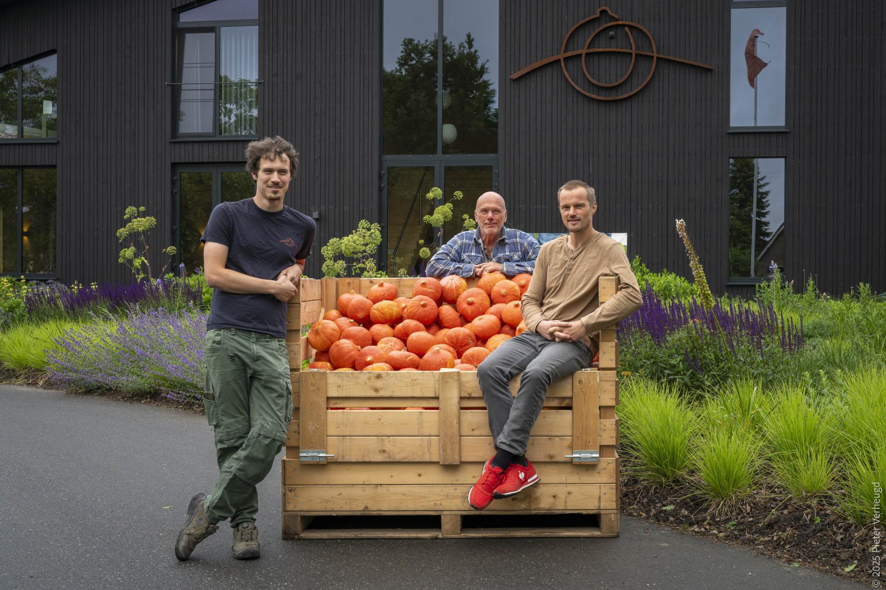 3 Männer stehen bzw. sitzen um eine Holzkiste voller großer Kürbisse