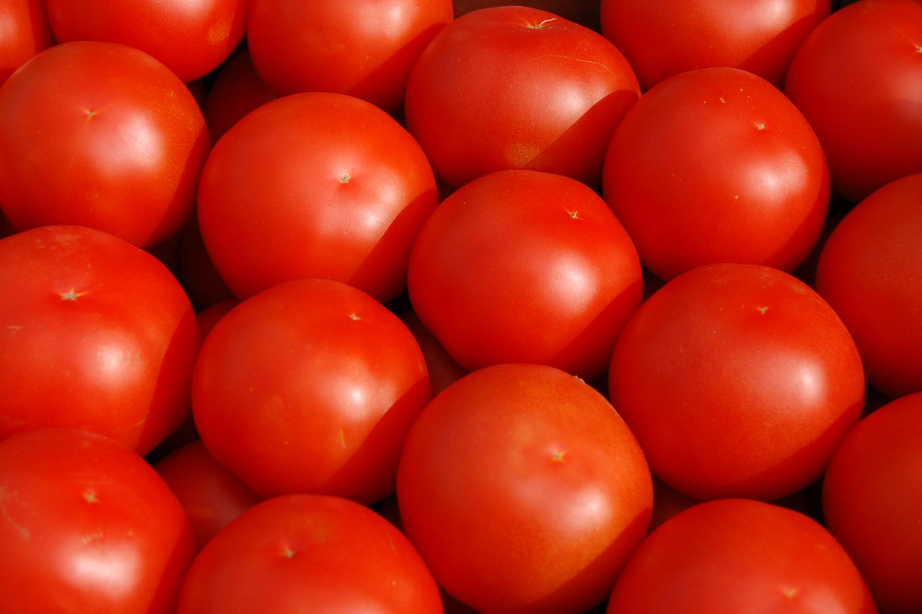 Tomaten