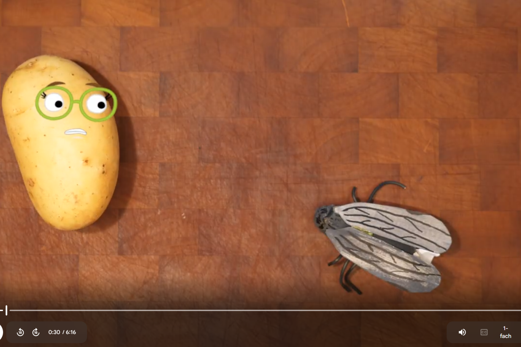 Screenshot Zikaden-Video