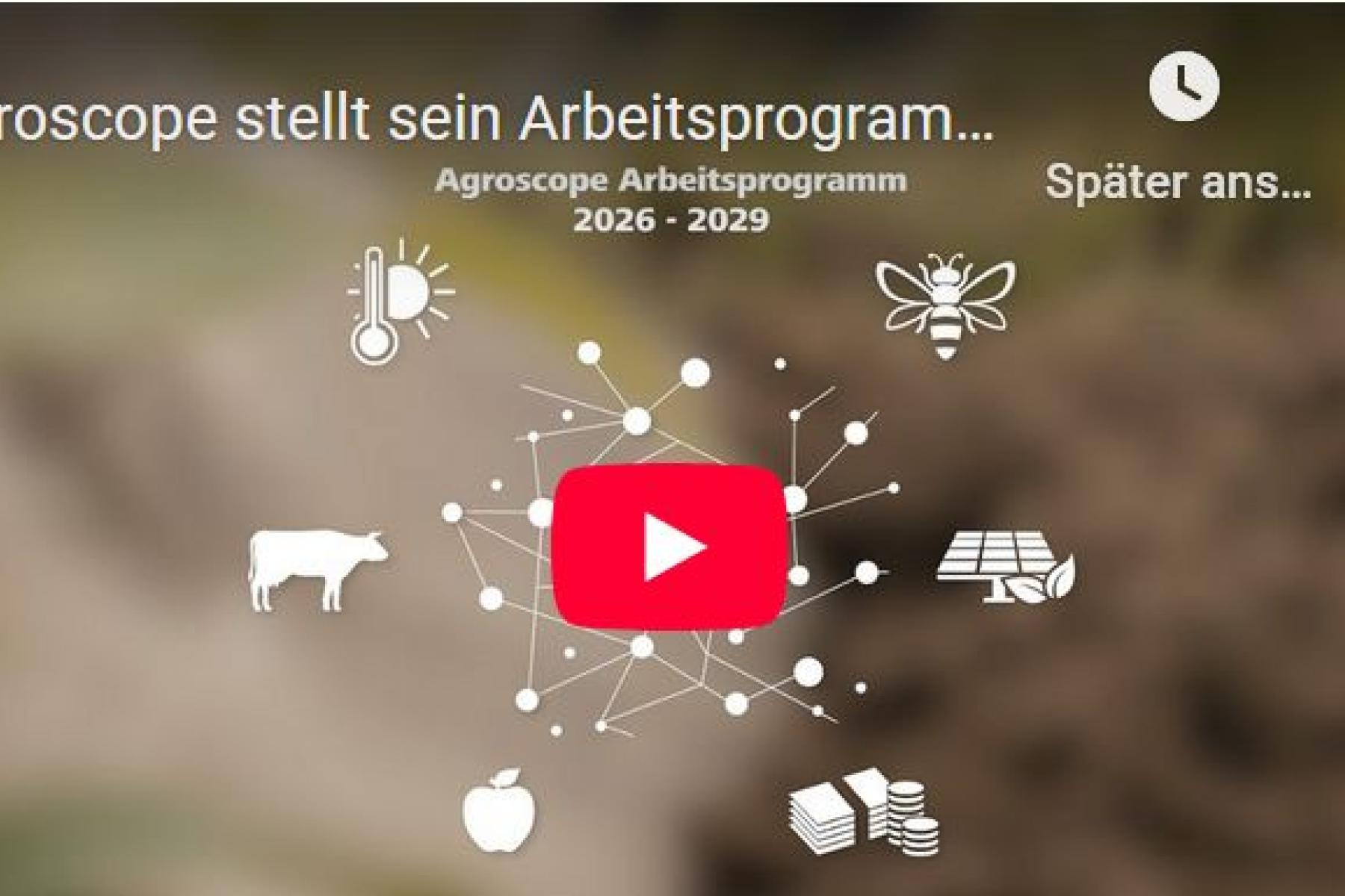 Übersicht Arbeitsprogramm