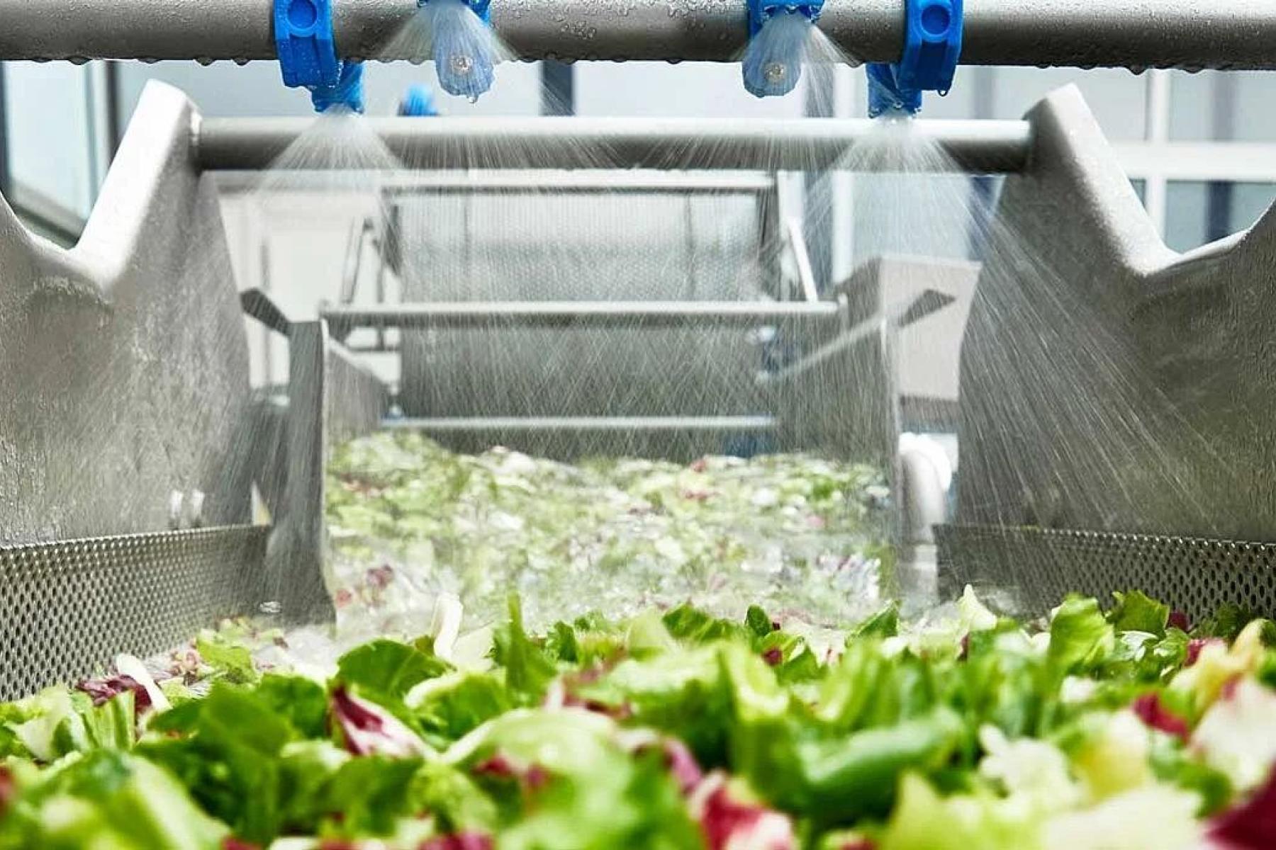 Maschine mit Fresh-Cut-Salat