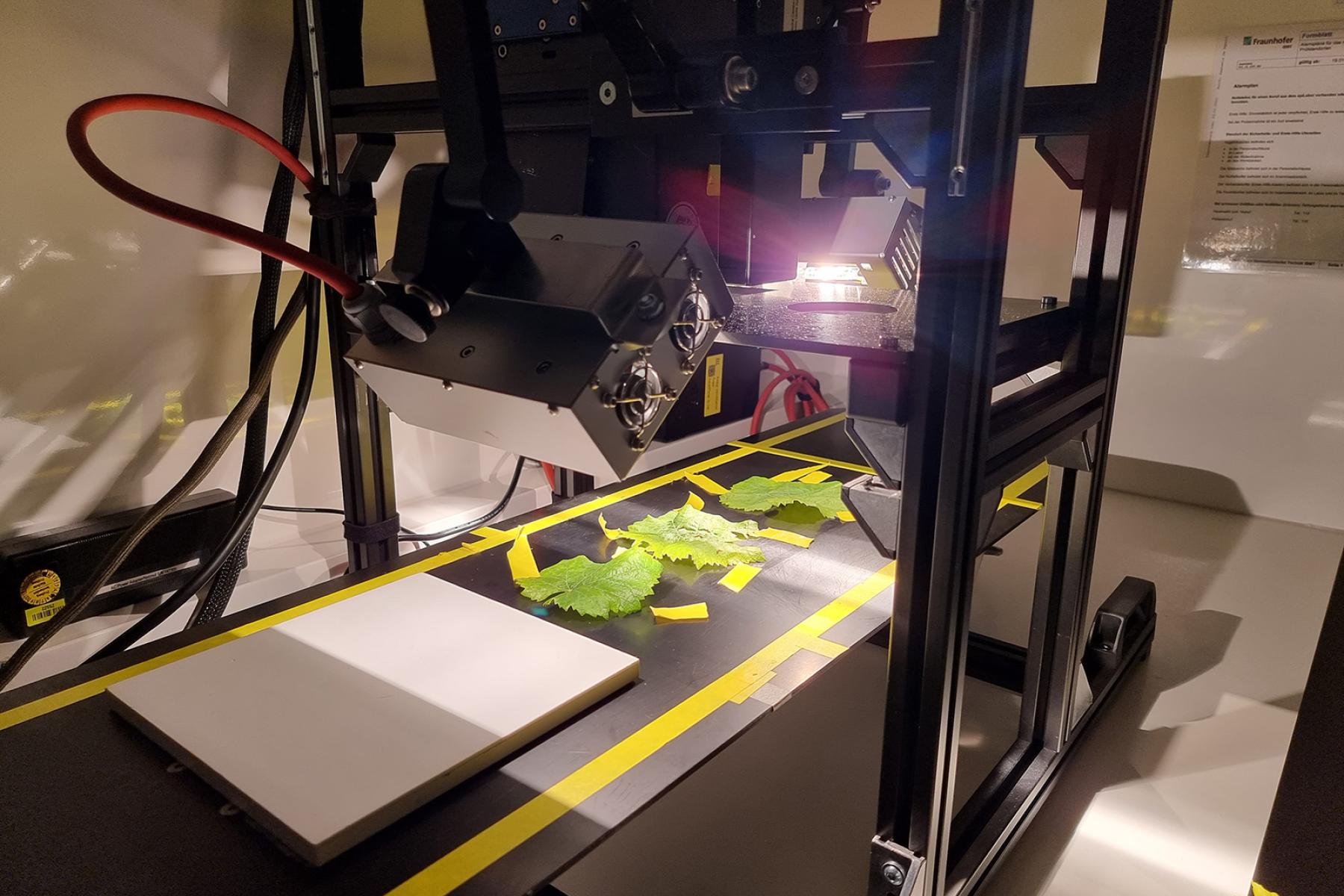 Symptomatische Blätter werden im PhenoTruck® mit Hyperspektralkameras analysiert, die verdächtige Blätterverfärbungen schnell erkennen und lokalisieren.