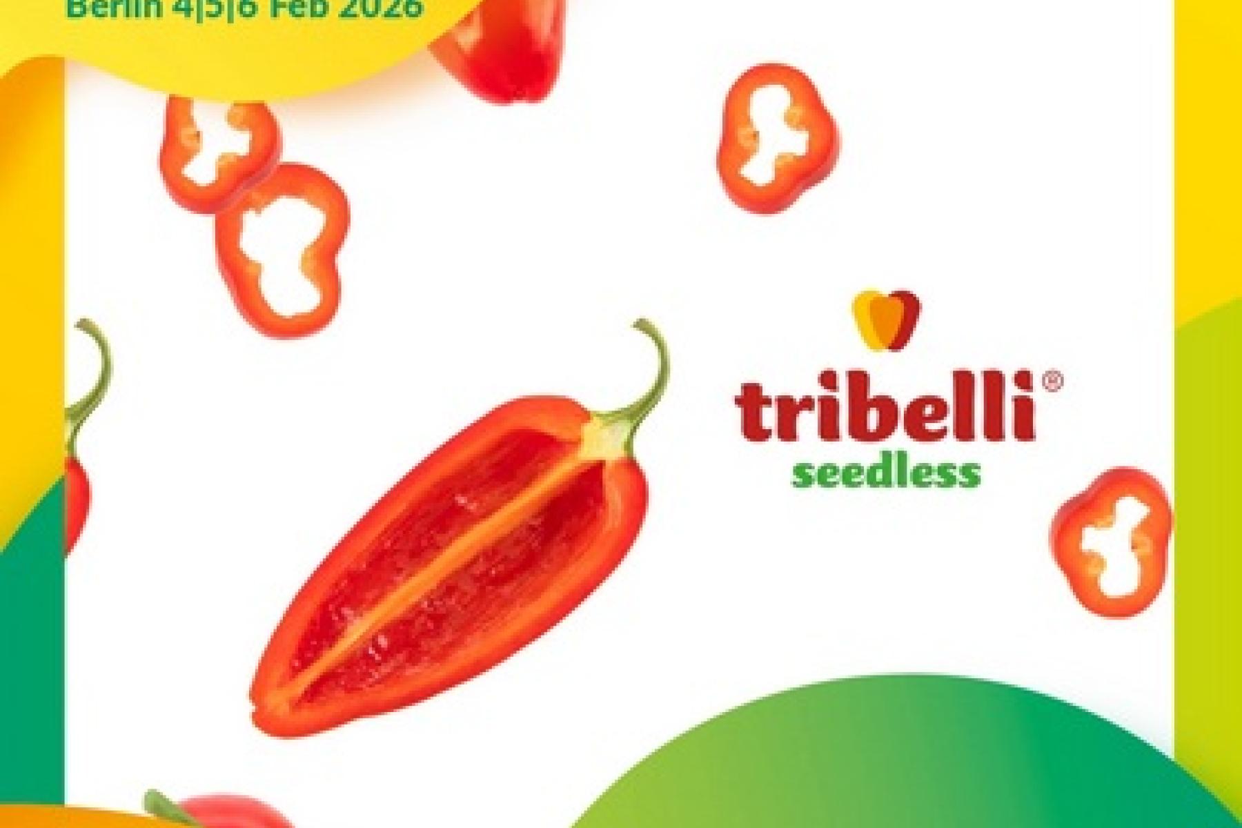 Tribelli im Messe-Design