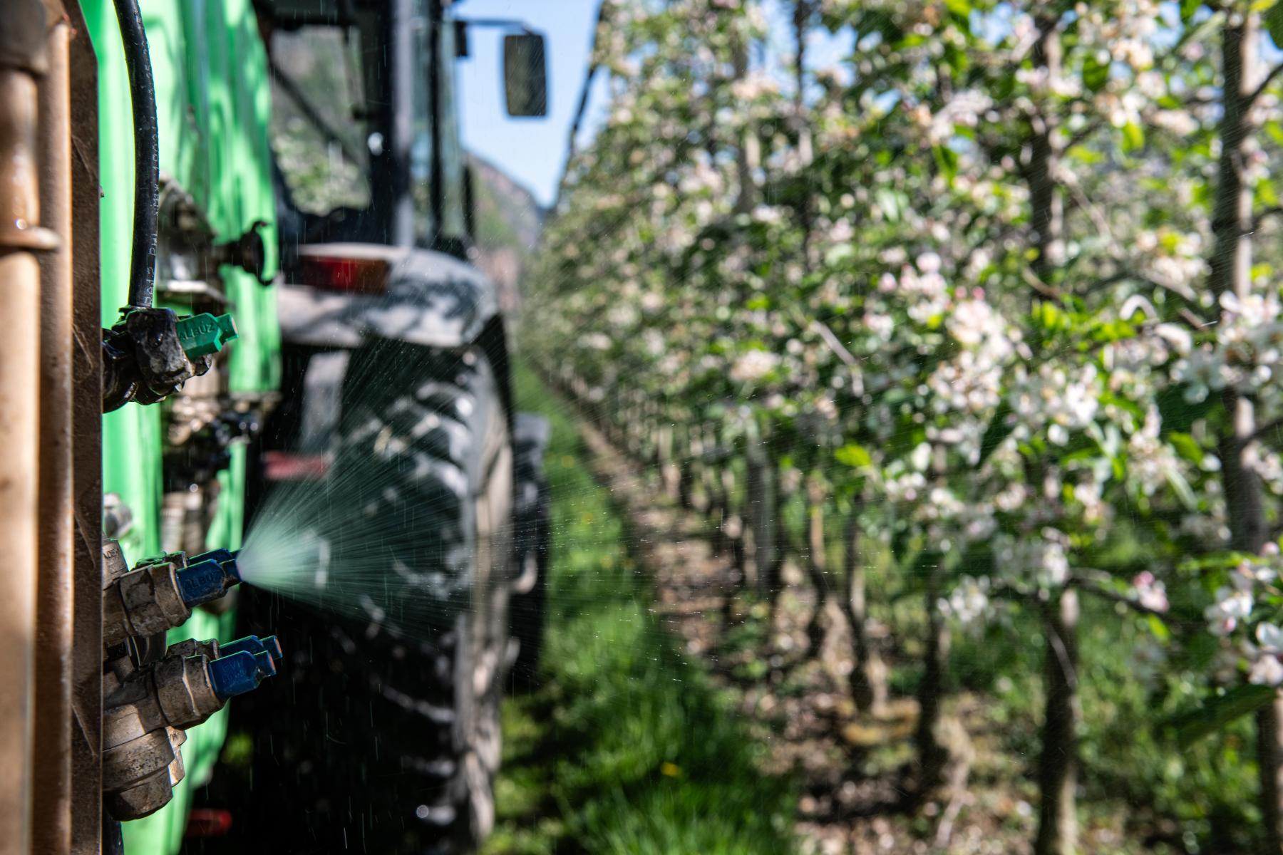 Traktor auf der Plantage