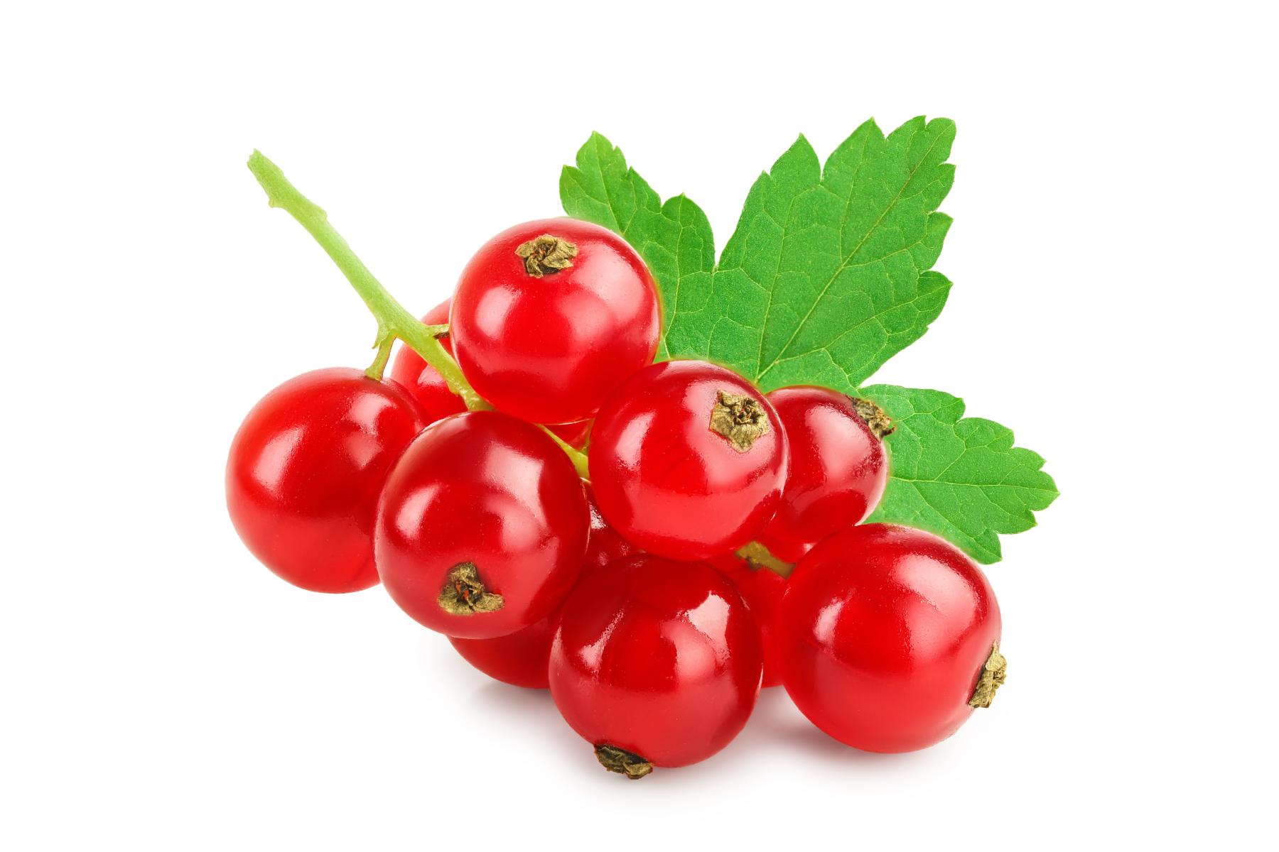rote Johannisbeeren