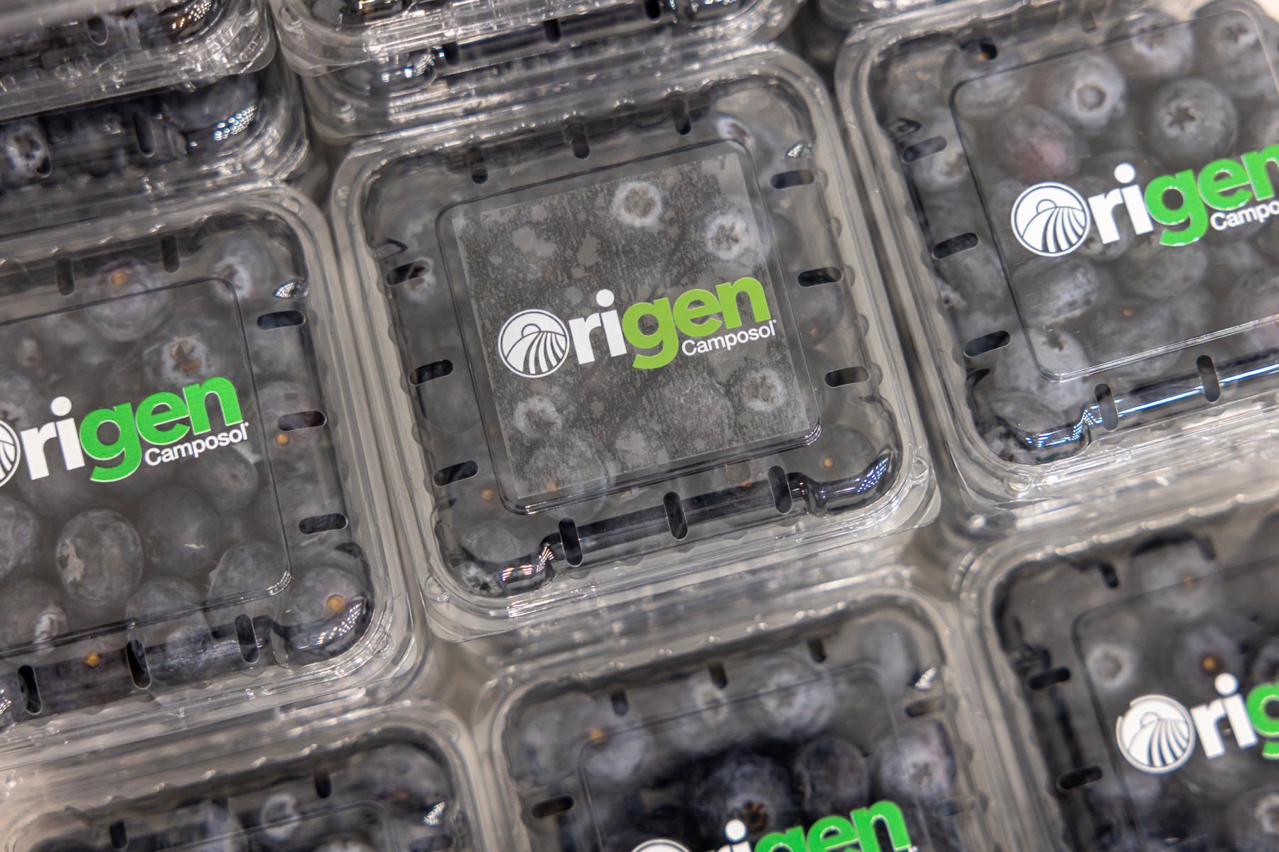 Blaubeeren in einer durchsichtigen Verpackung mit dem Aufdruck Origen