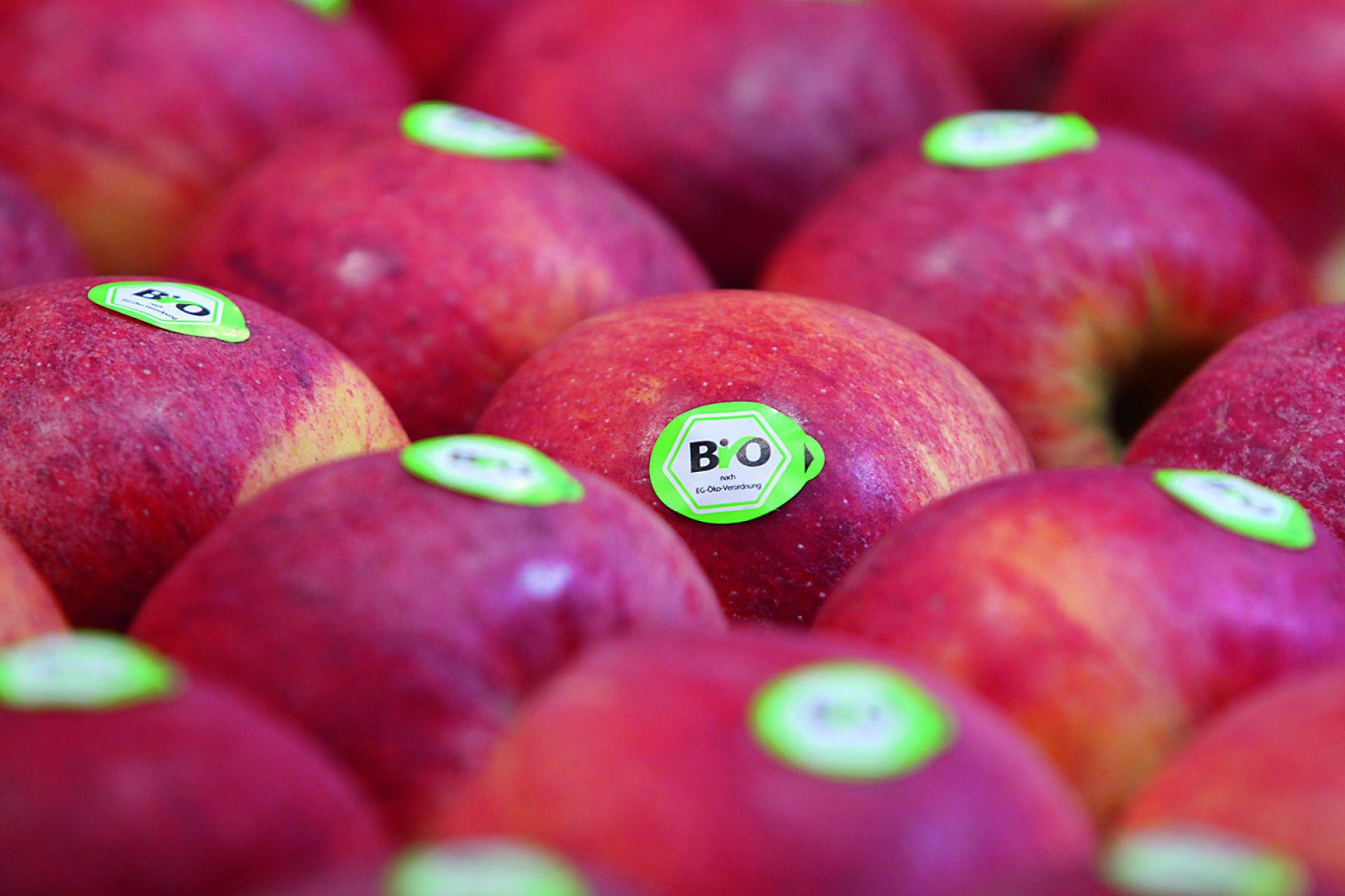 Bio-Äpfel