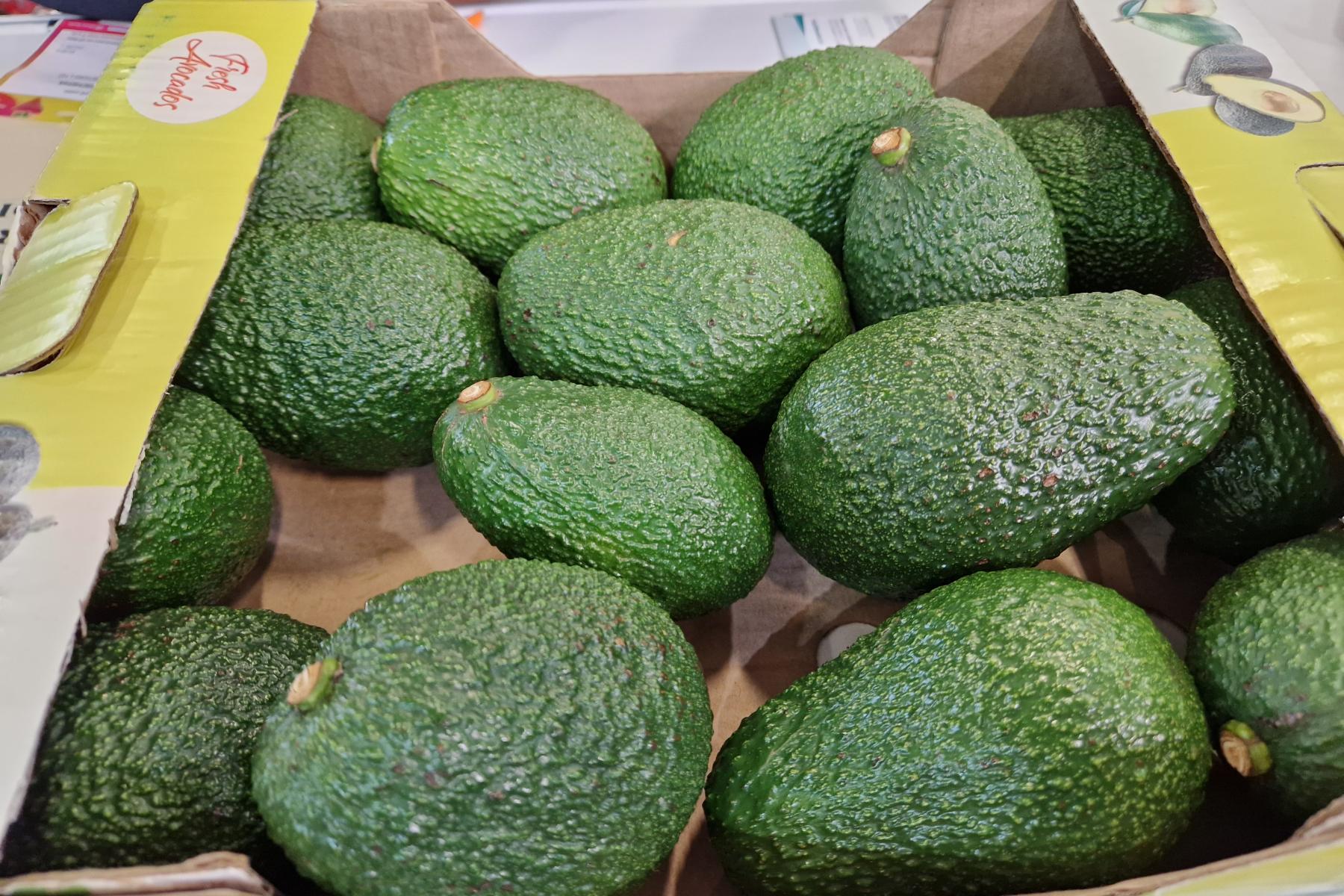 Avocados aus Südafrika in einer Kartonsteige. 