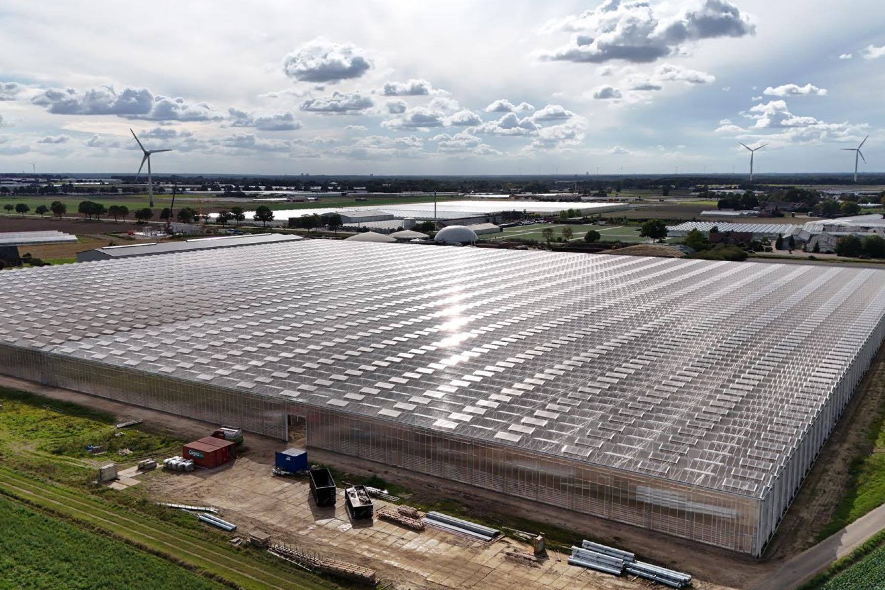 Aufnahme eines großen Gewächshauskomplexes der Landfrisch AG von oben.