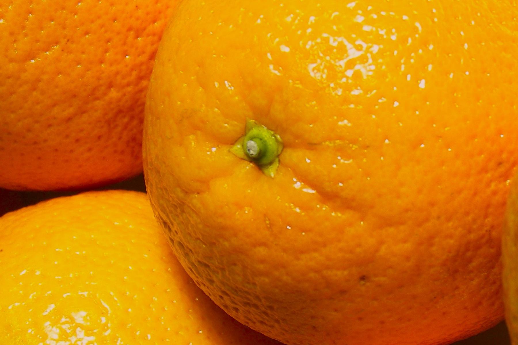 Nahaufnahme von Orangen