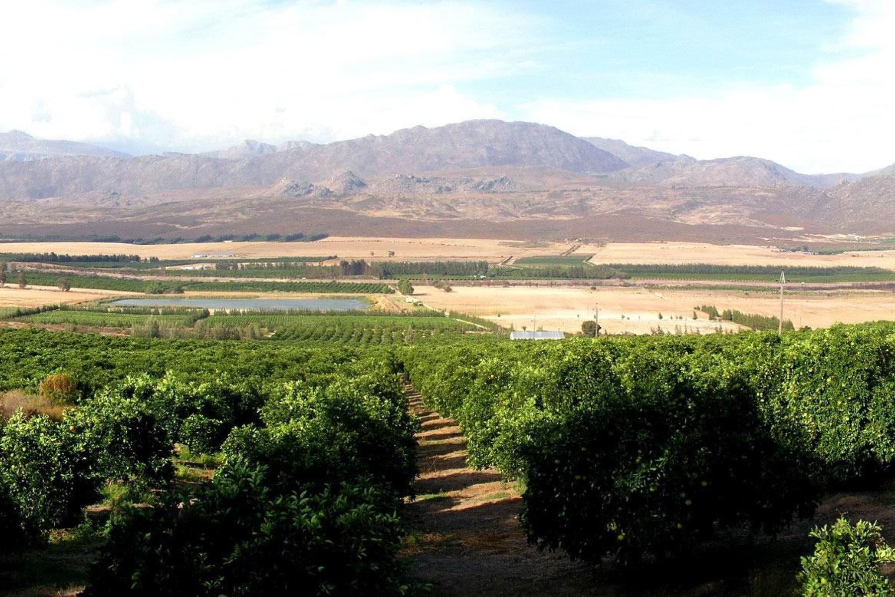 Landschaft Südafrika