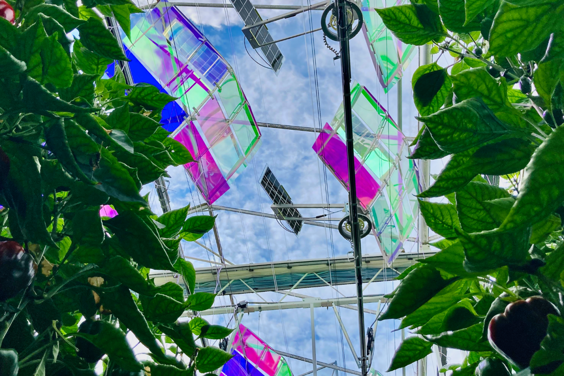 Solarlösung für Gewächshaus