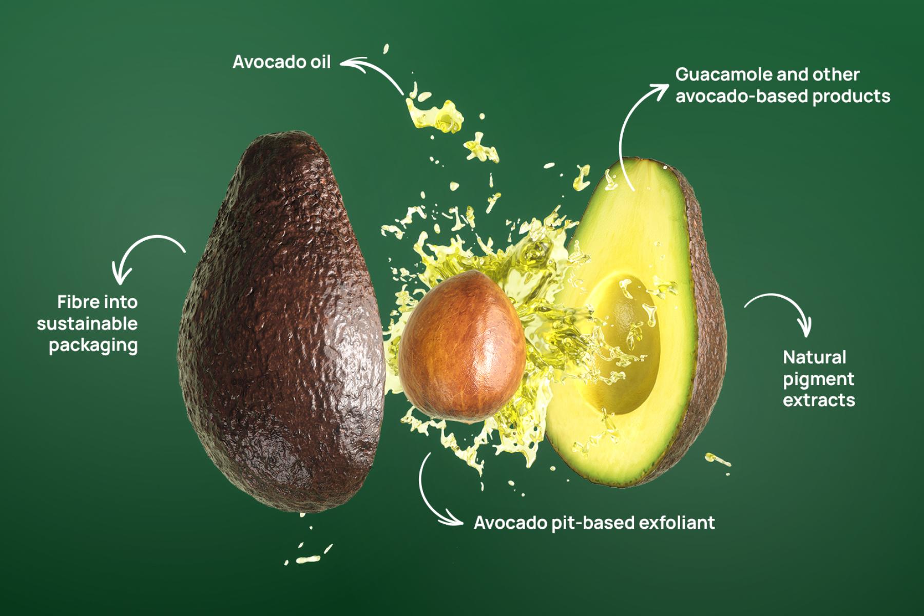 aufgesplittete Avocado
