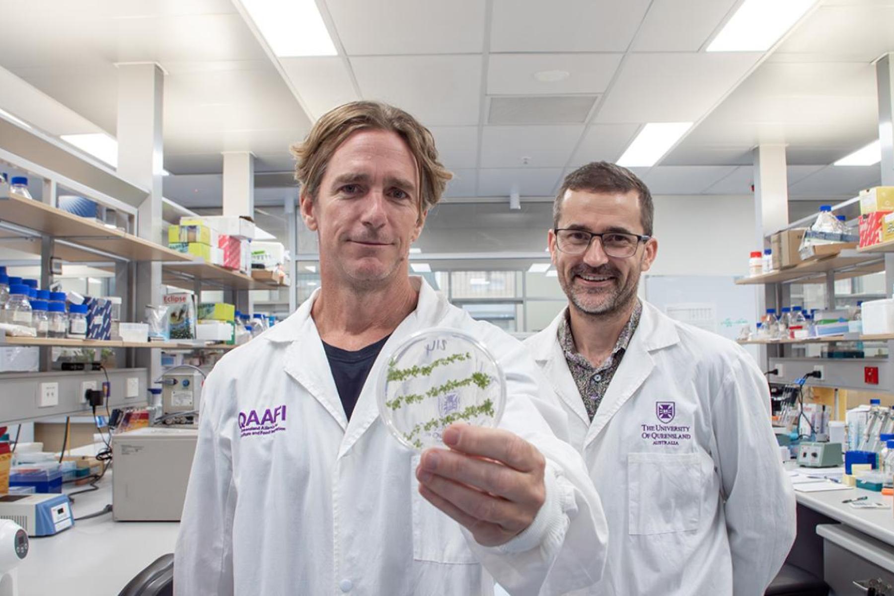 Dr. Chris Brosnan (l.) und Dr. Don Gardinar im Labor