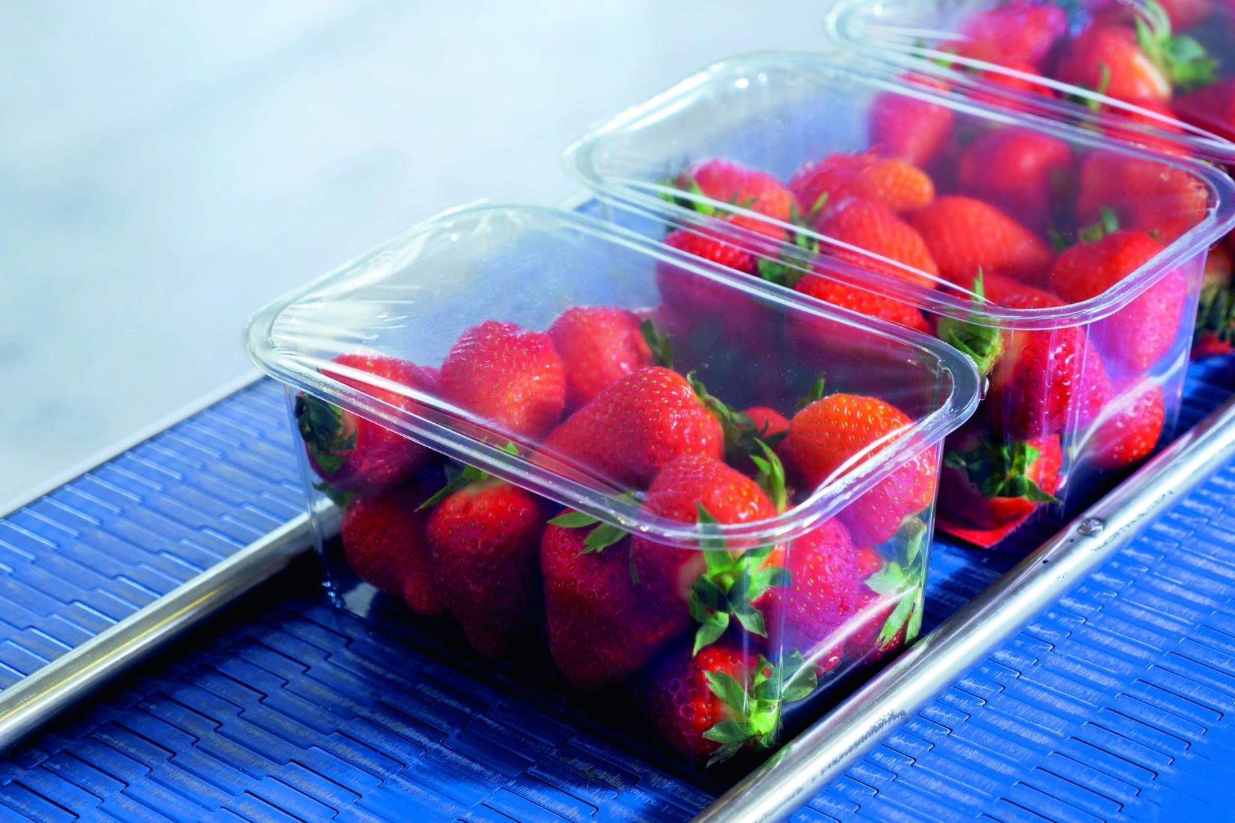 Erdbeeren in Kunststoffverpackung