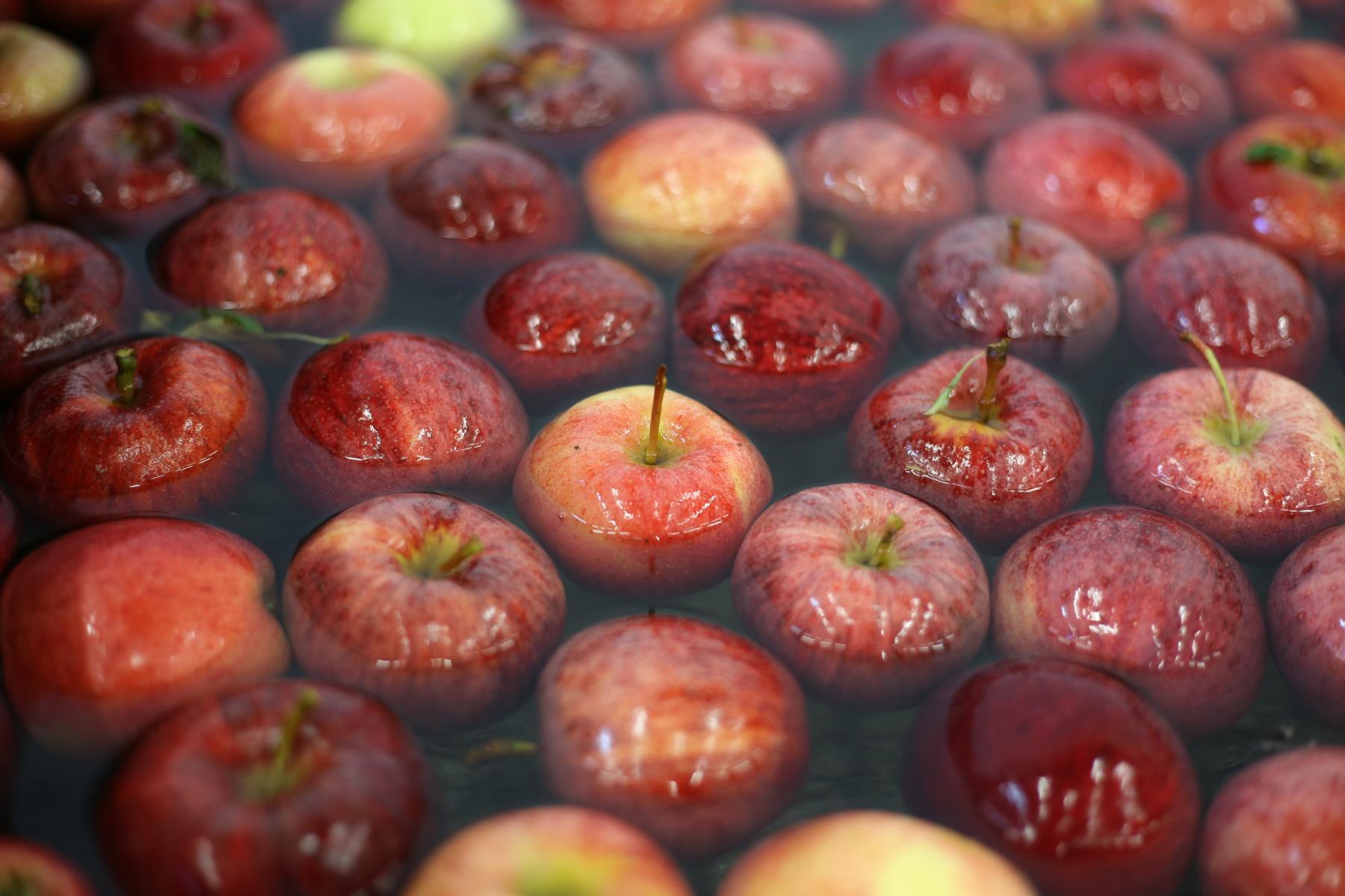 Äpfel in einem Wasserbad.