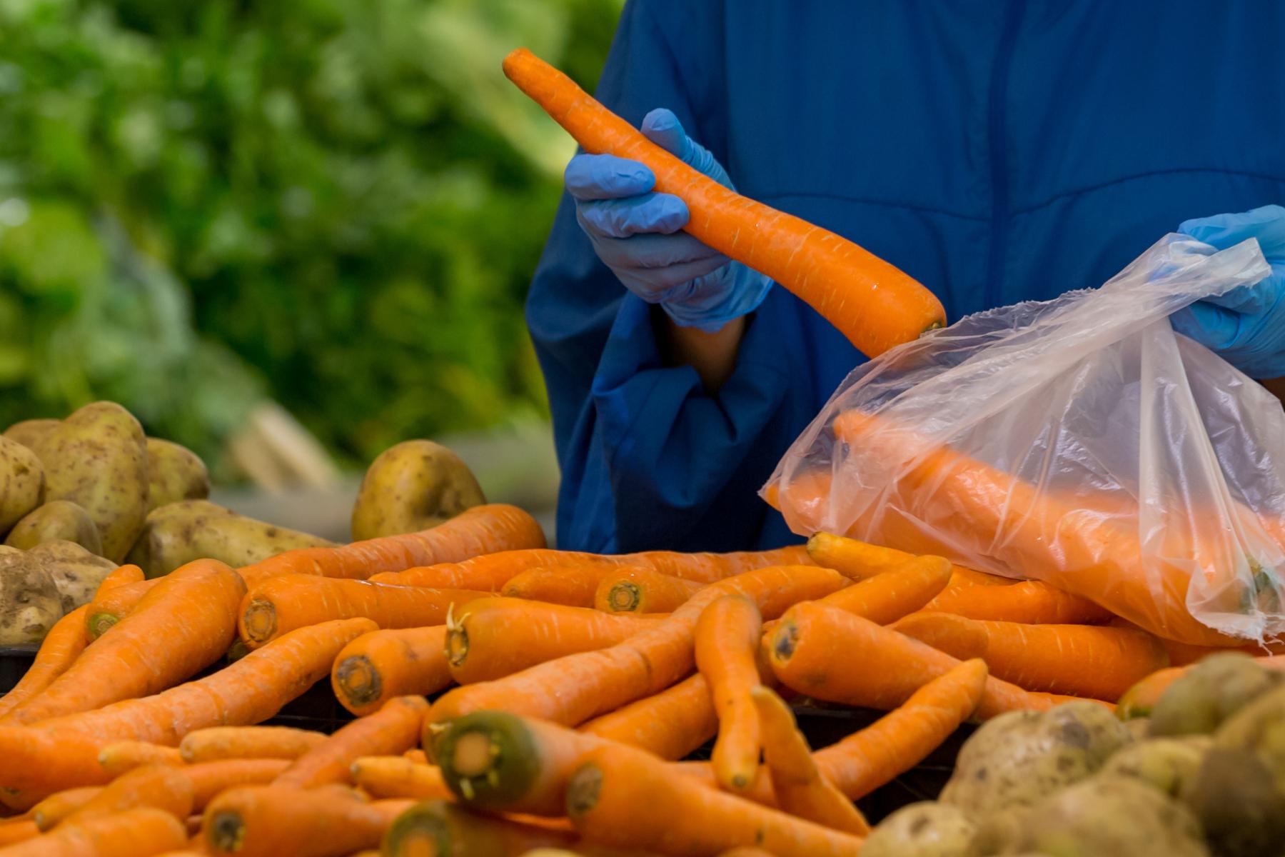 Möhren und Kartoffeln